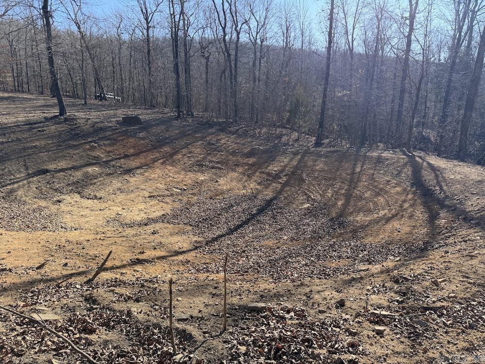  Marsena Rd - East  Marshall, AR