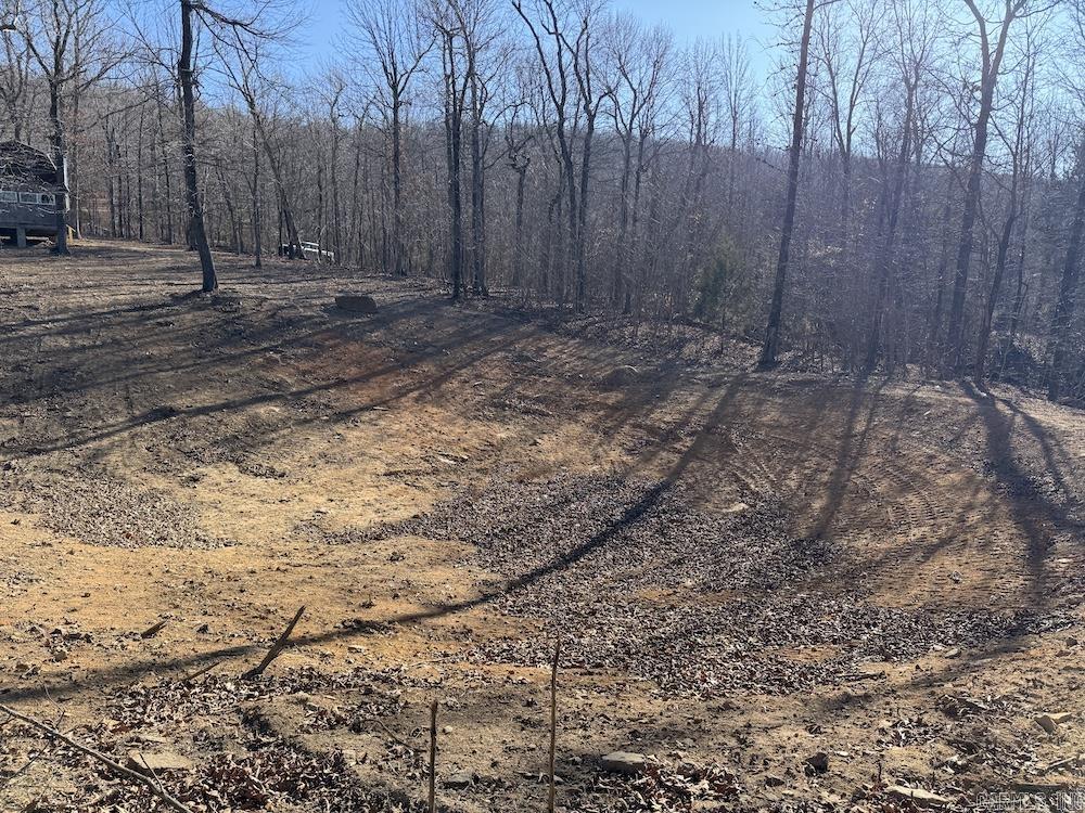  Marsena Rd - East  Marshall, AR