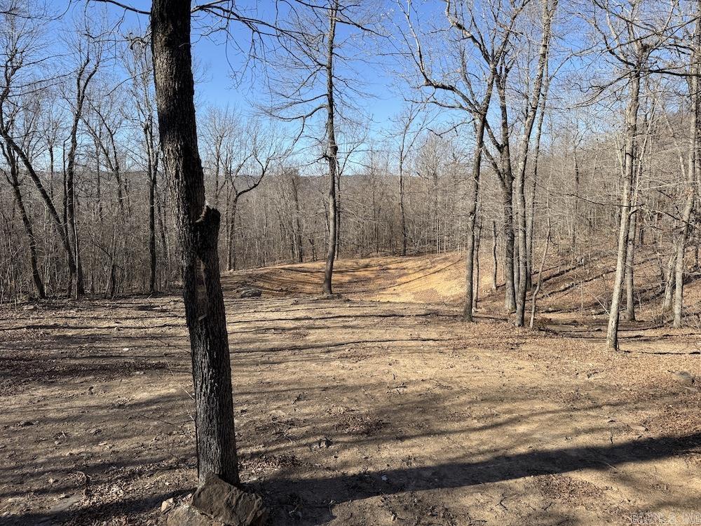  Marsena Rd - East  Marshall, AR