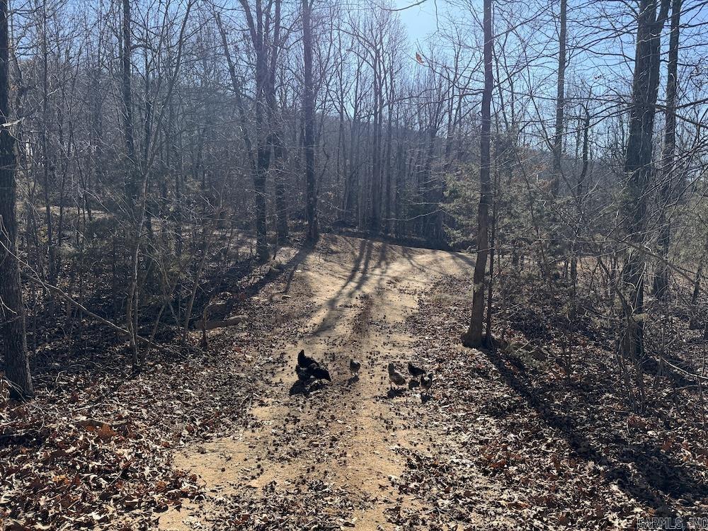  Marsena Rd - East  Marshall, AR