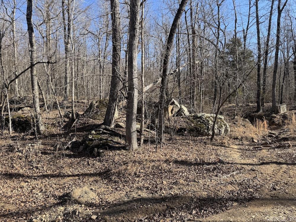  Marsena Rd - West  Marshall, AR