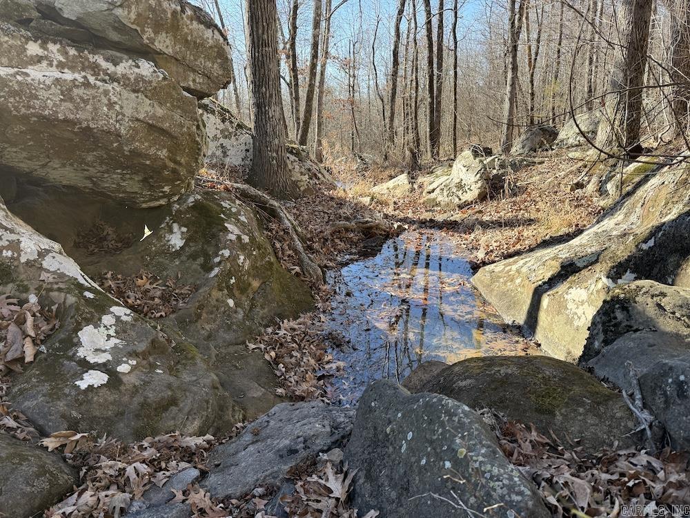  Marsena Rd - West  Marshall, AR