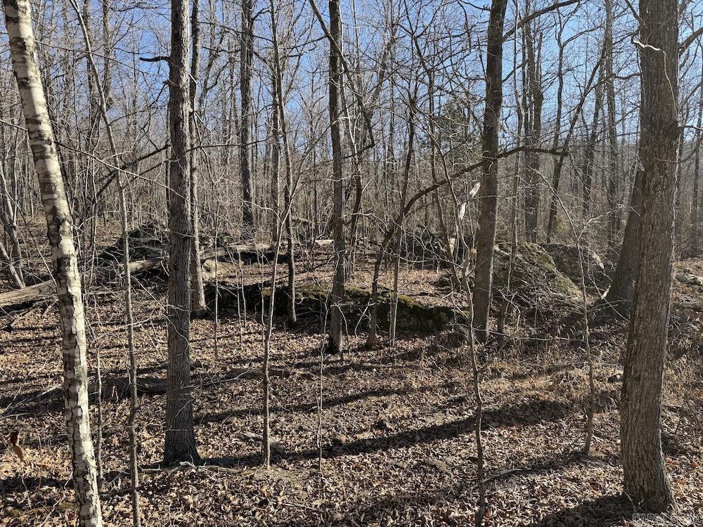  Marsena Rd - West  Marshall, AR