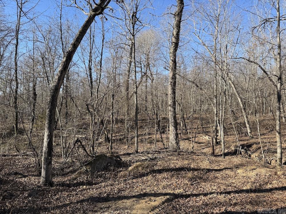  Marsena Rd - West  Marshall, AR