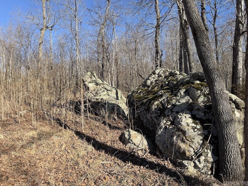  Marsena Rd - West  Marshall, AR