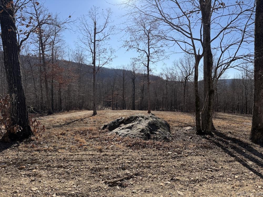  Marsena Rd - West  Marshall, AR