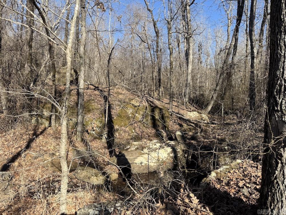  Marsena Rd - West  Marshall, AR