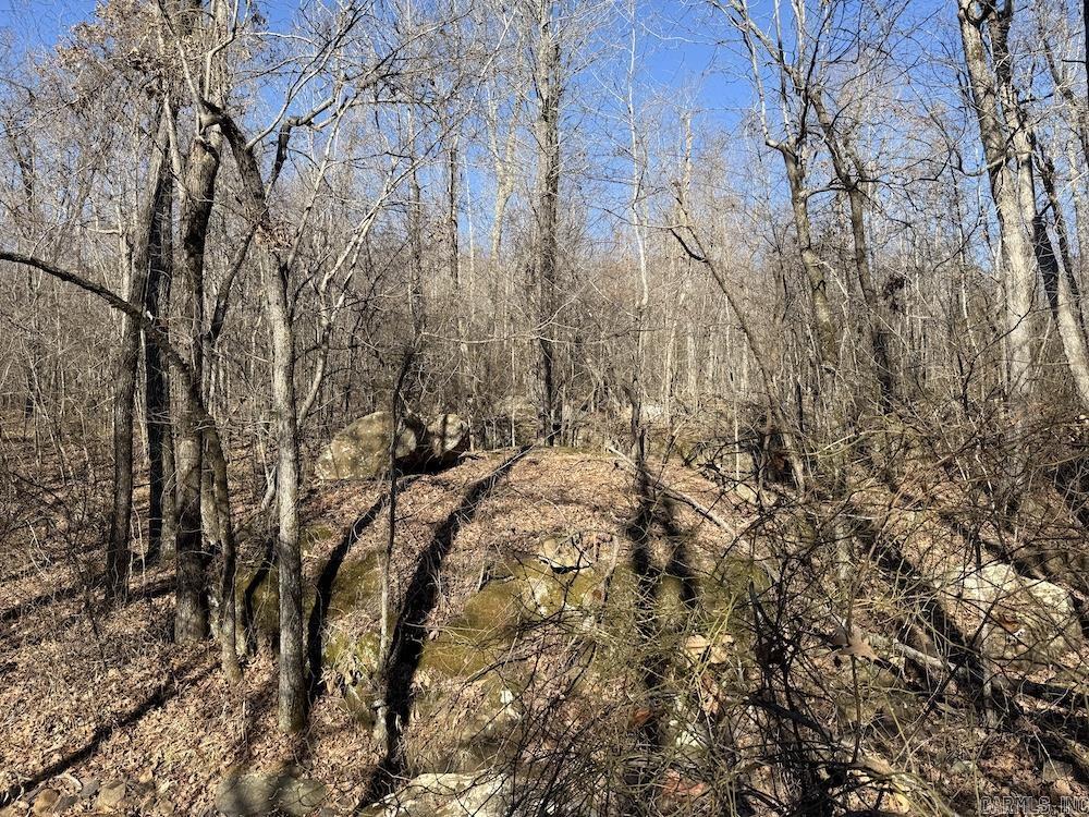  Marsena Rd - West  Marshall, AR