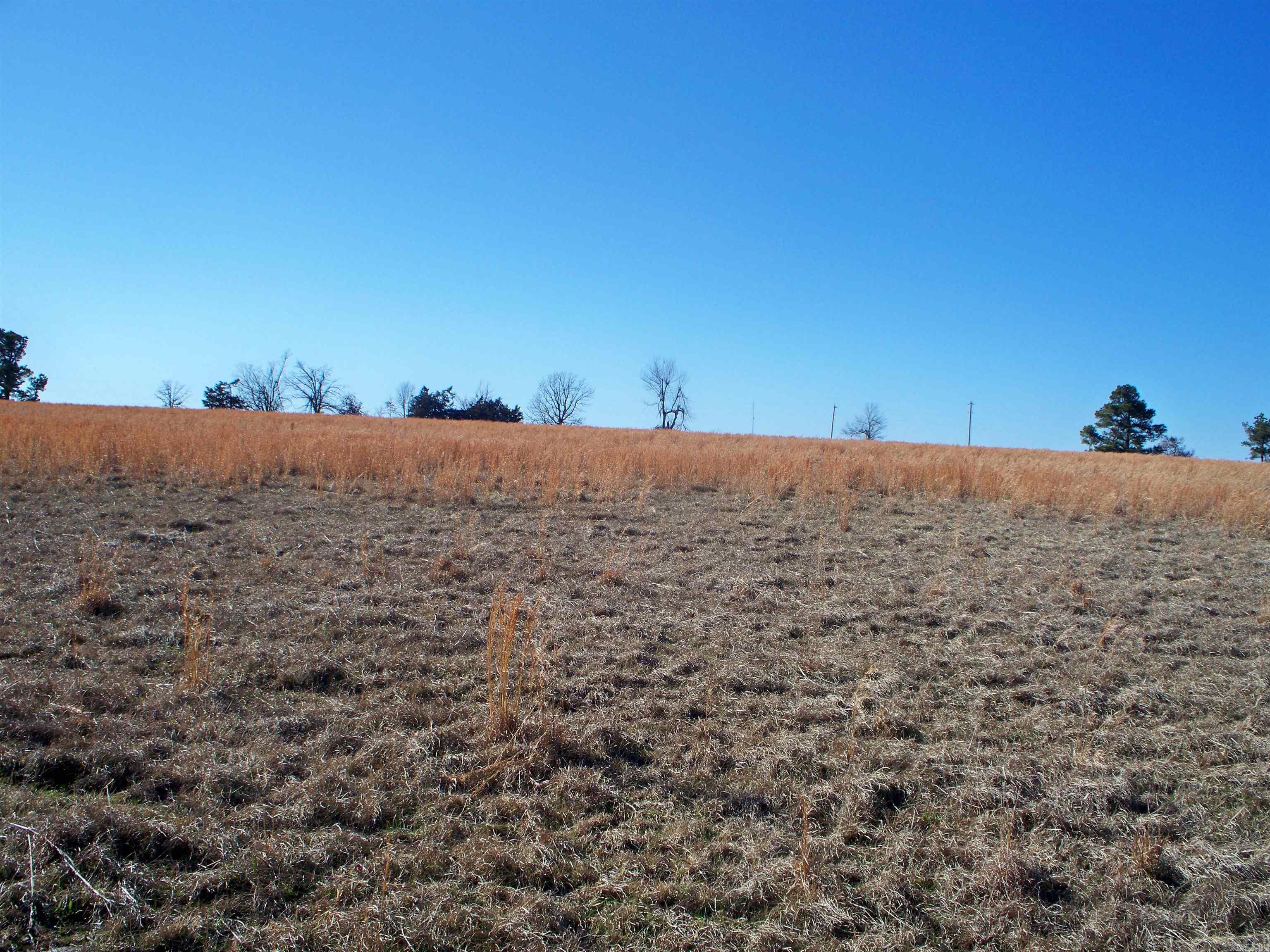 0 Jackson 311  Bradford, AR