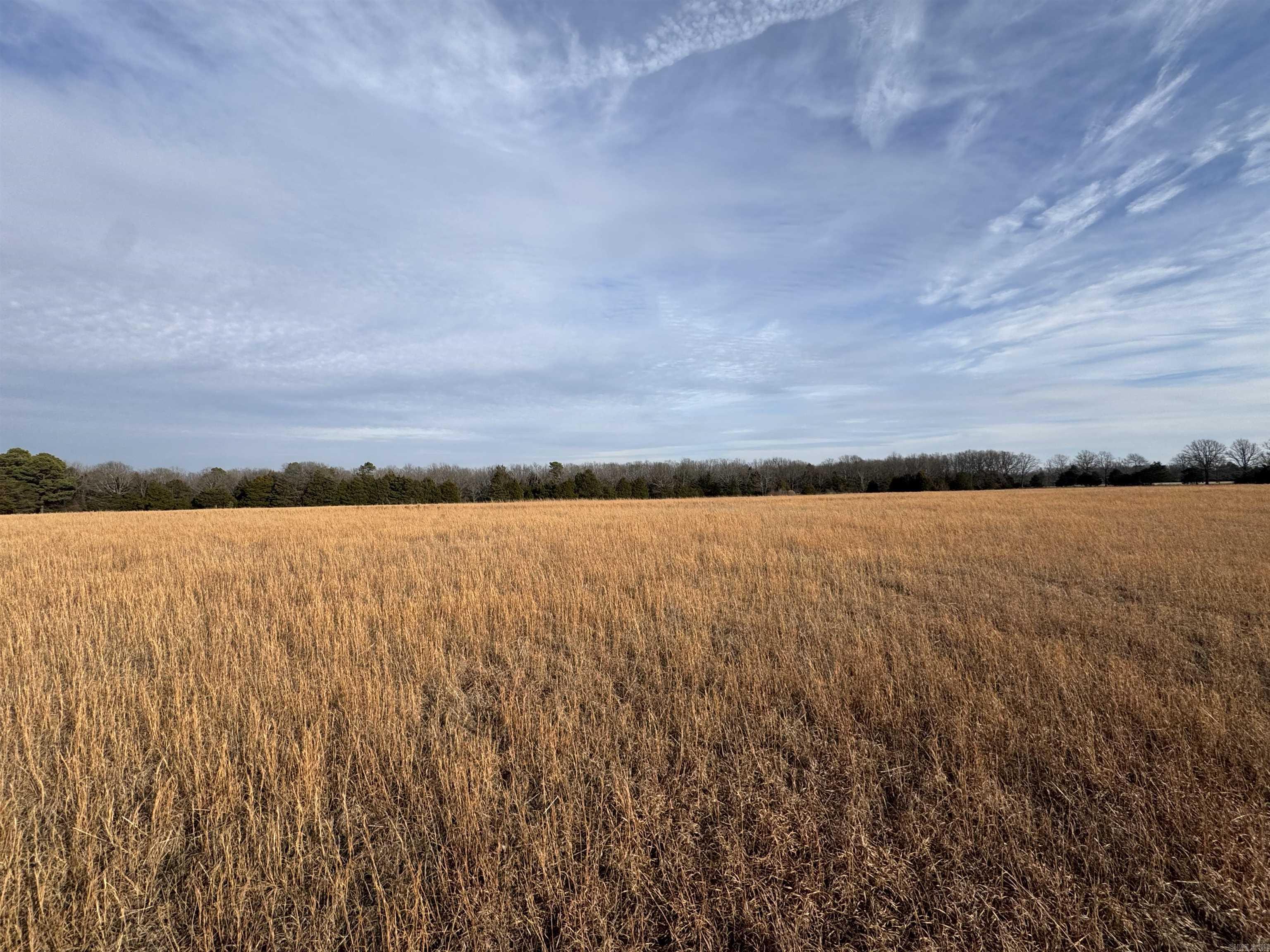 0 Jackson 311  Bradford, AR