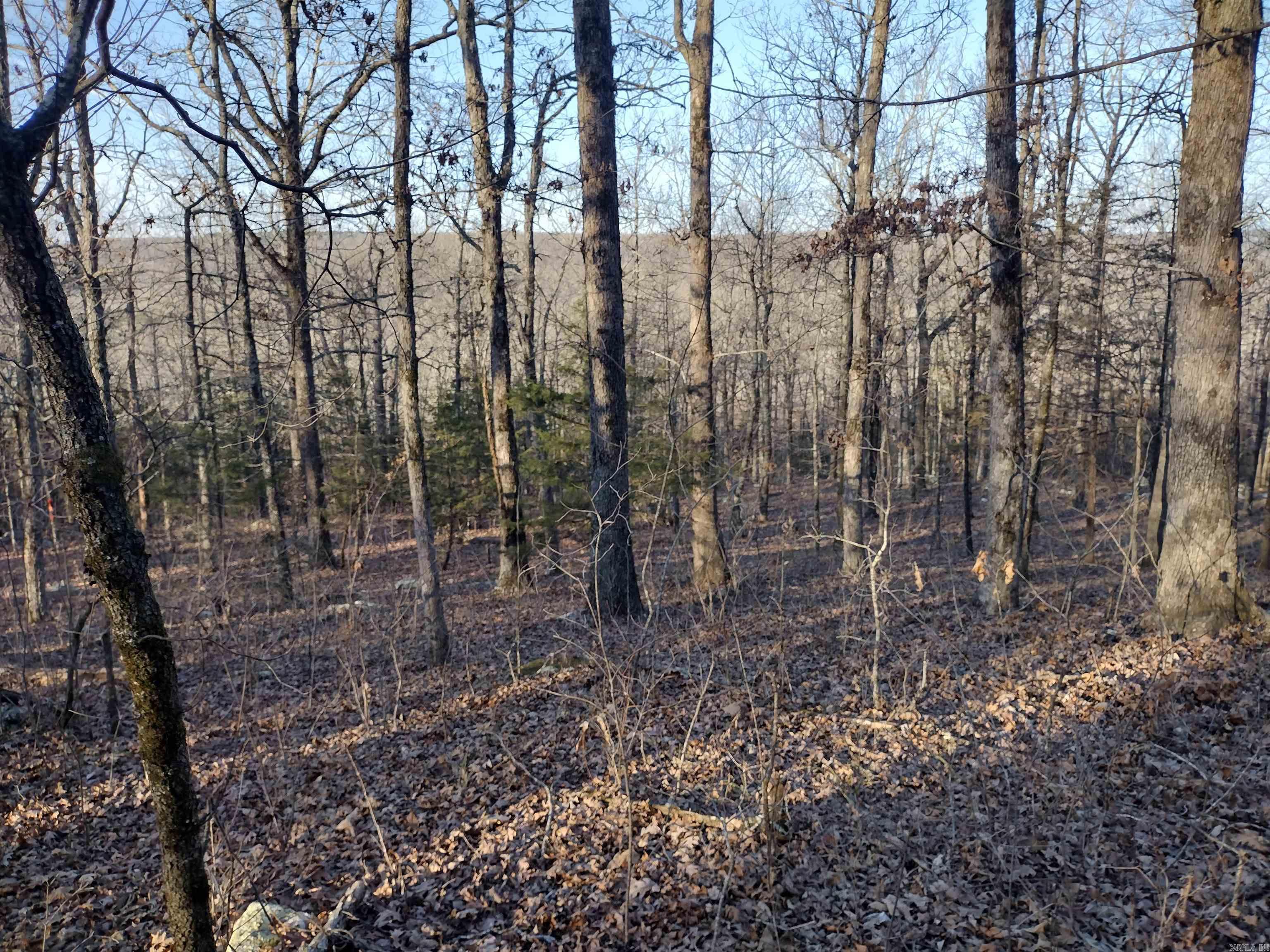 408 Monahan RD  Mountain View, AR