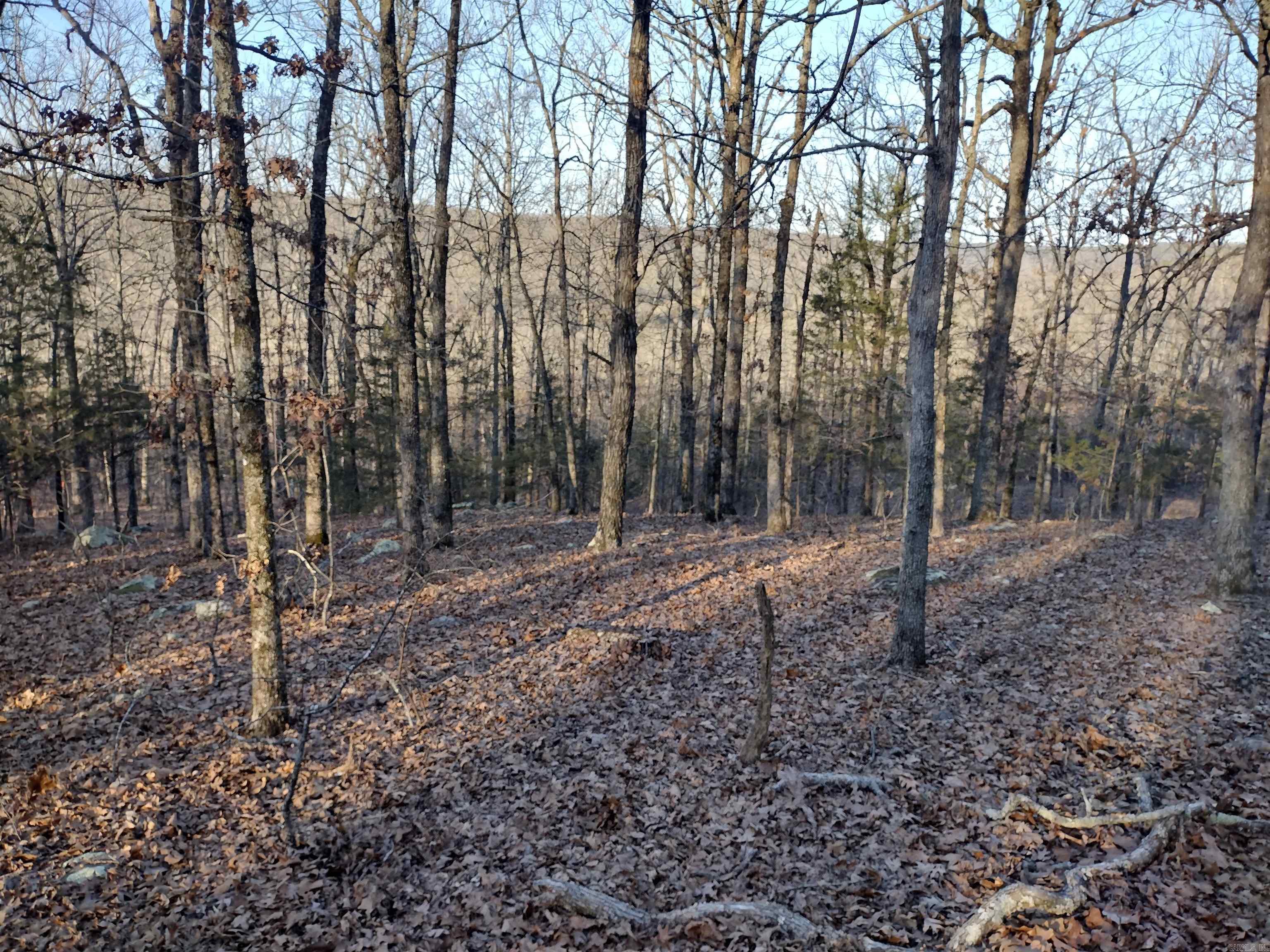 408 Monahan RD  Mountain View, AR