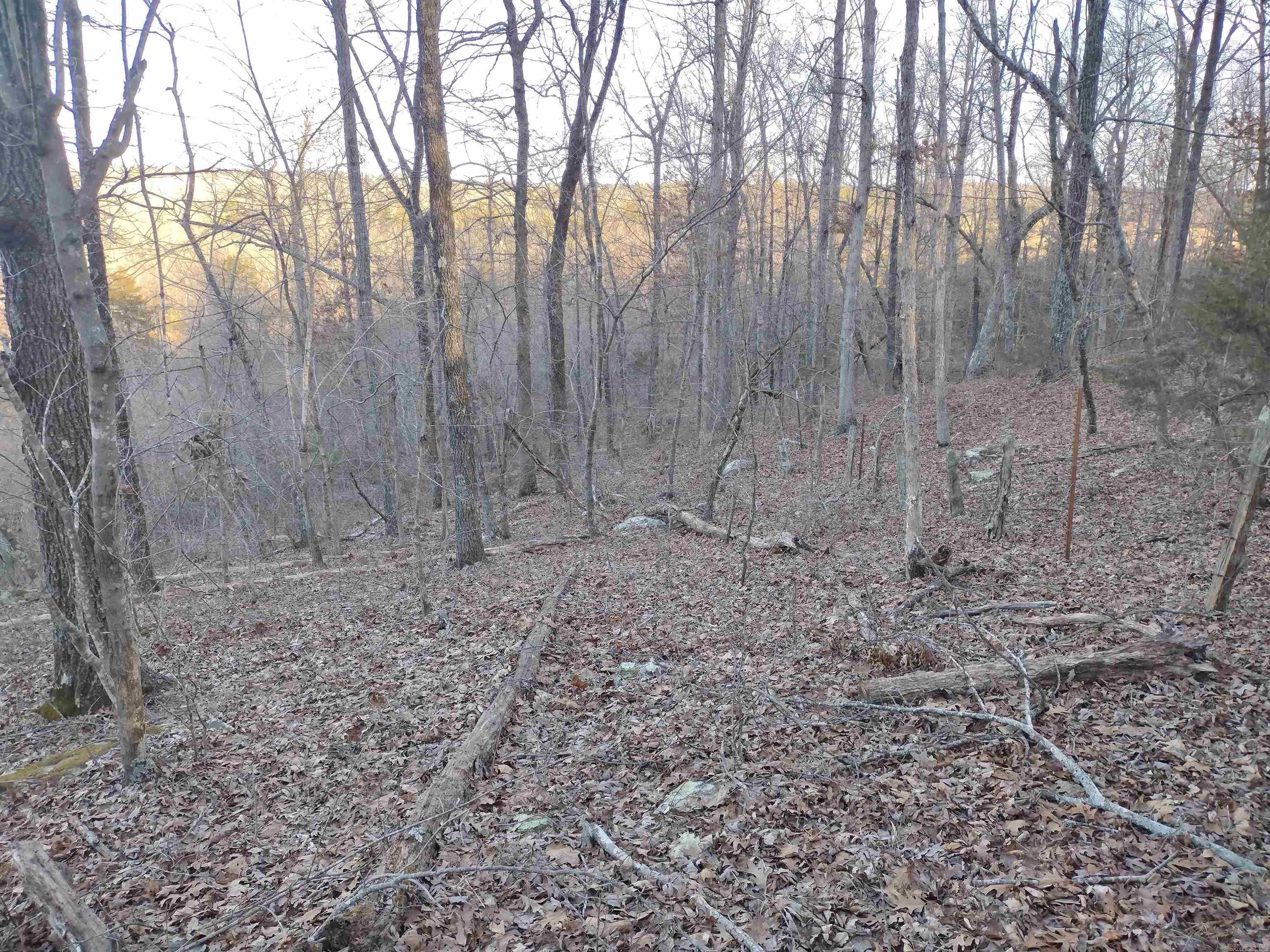 408 Monahan RD  Mountain View, AR