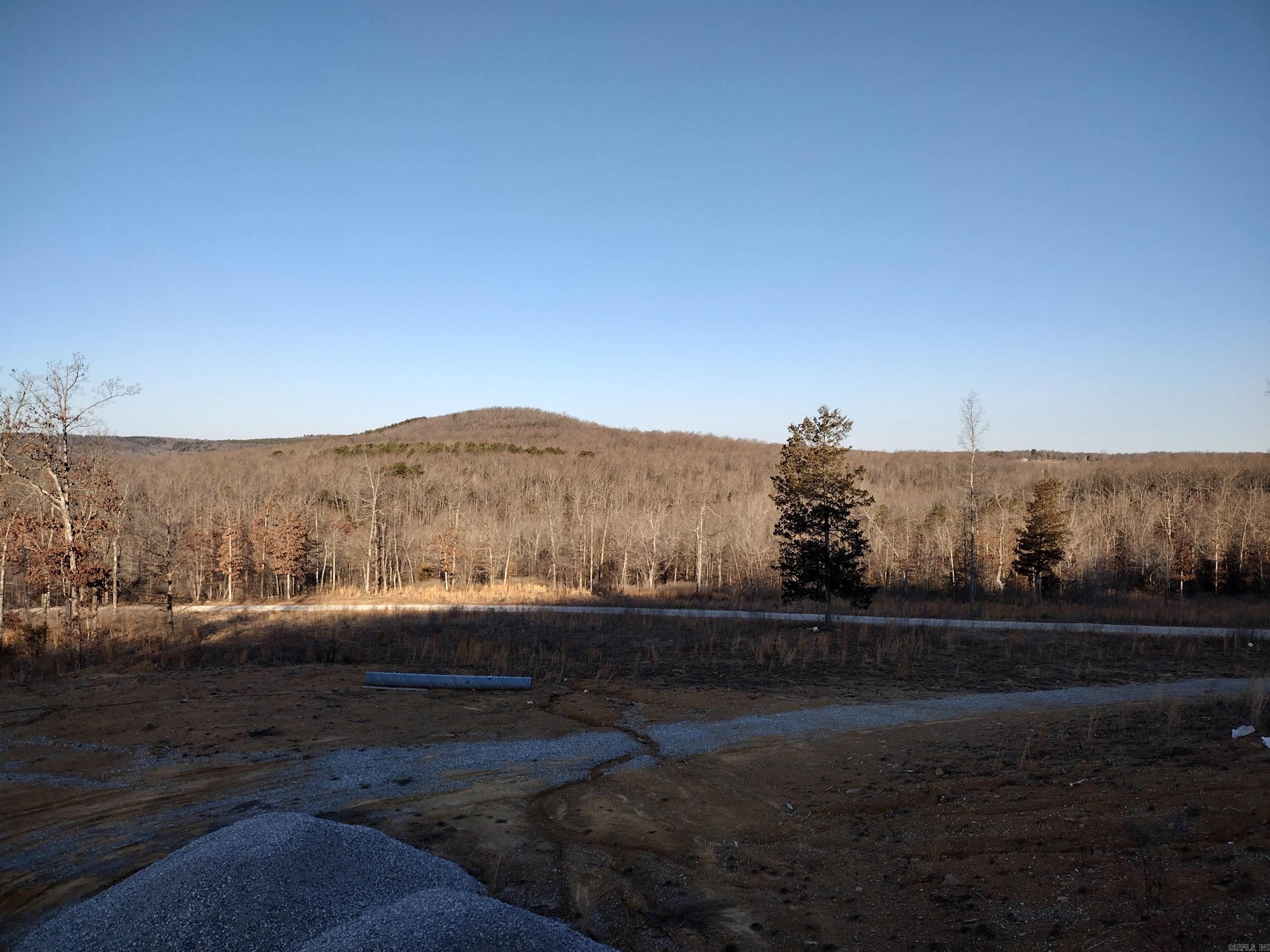 408 Monahan RD  Mountain View, AR