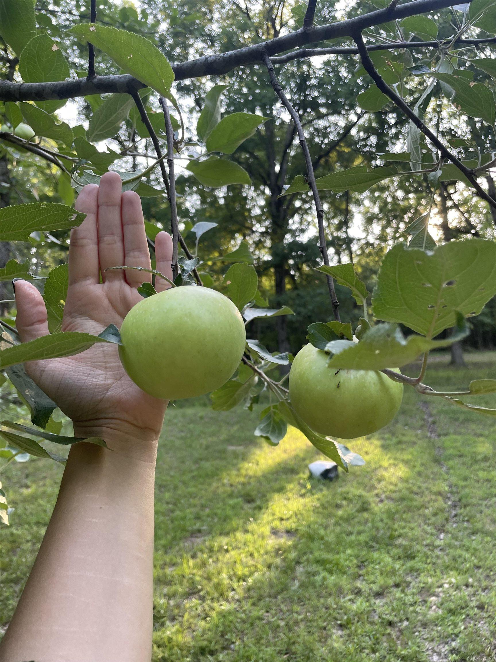 1861 Greene 715  Paragould, AR