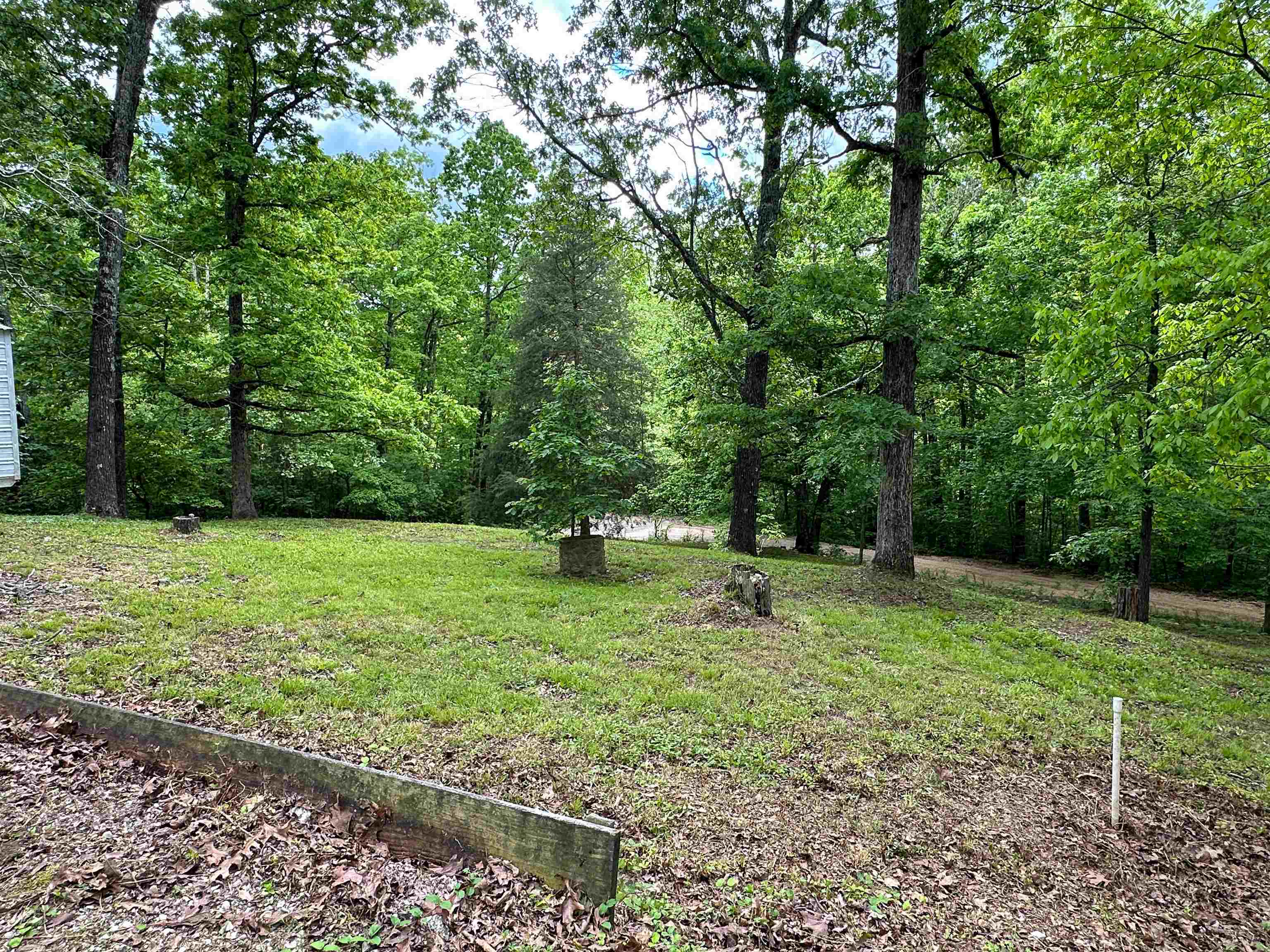36 Buckskin  Williford, AR