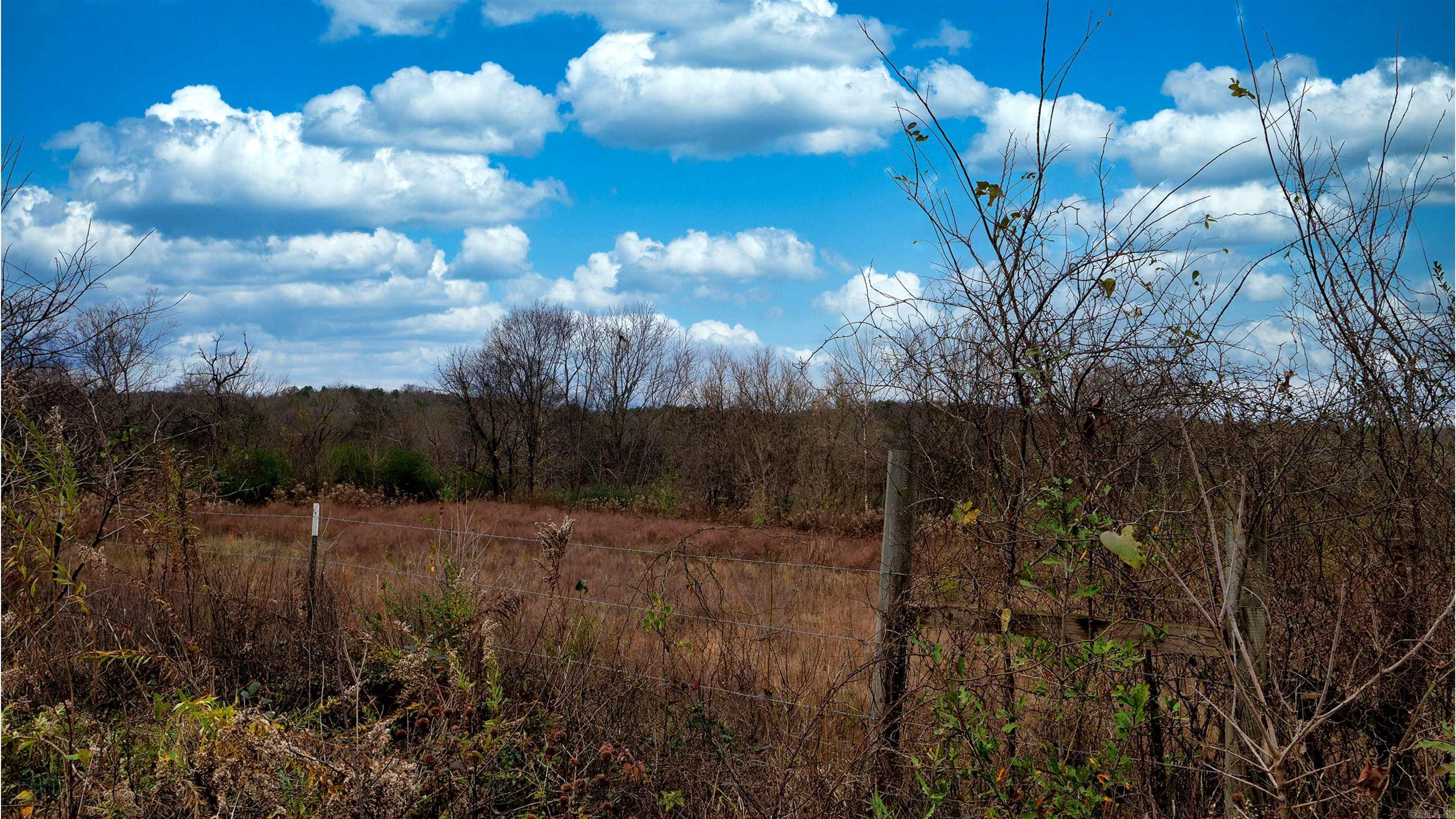 118 Peaceful Place  Caddo Gap, AR