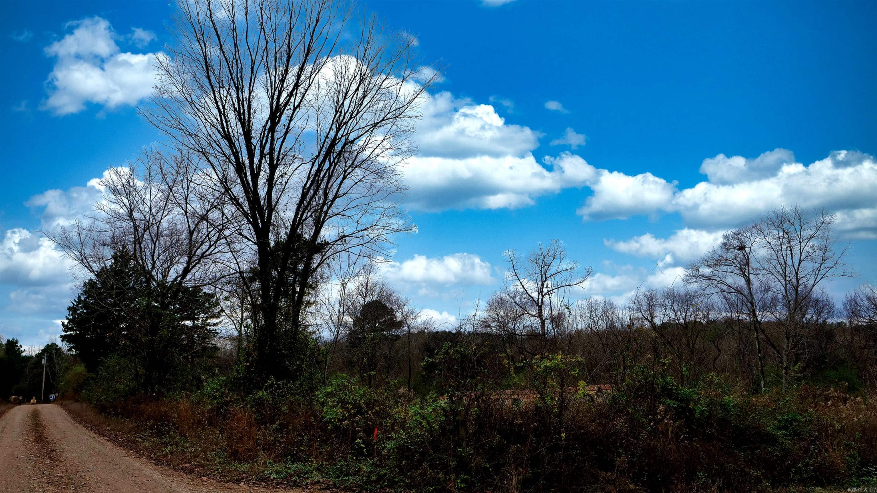 118 Peaceful Place  Caddo Gap, AR