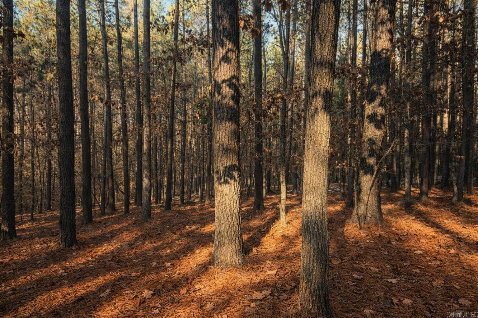 18 Alzar  Hot Springs Village, AR