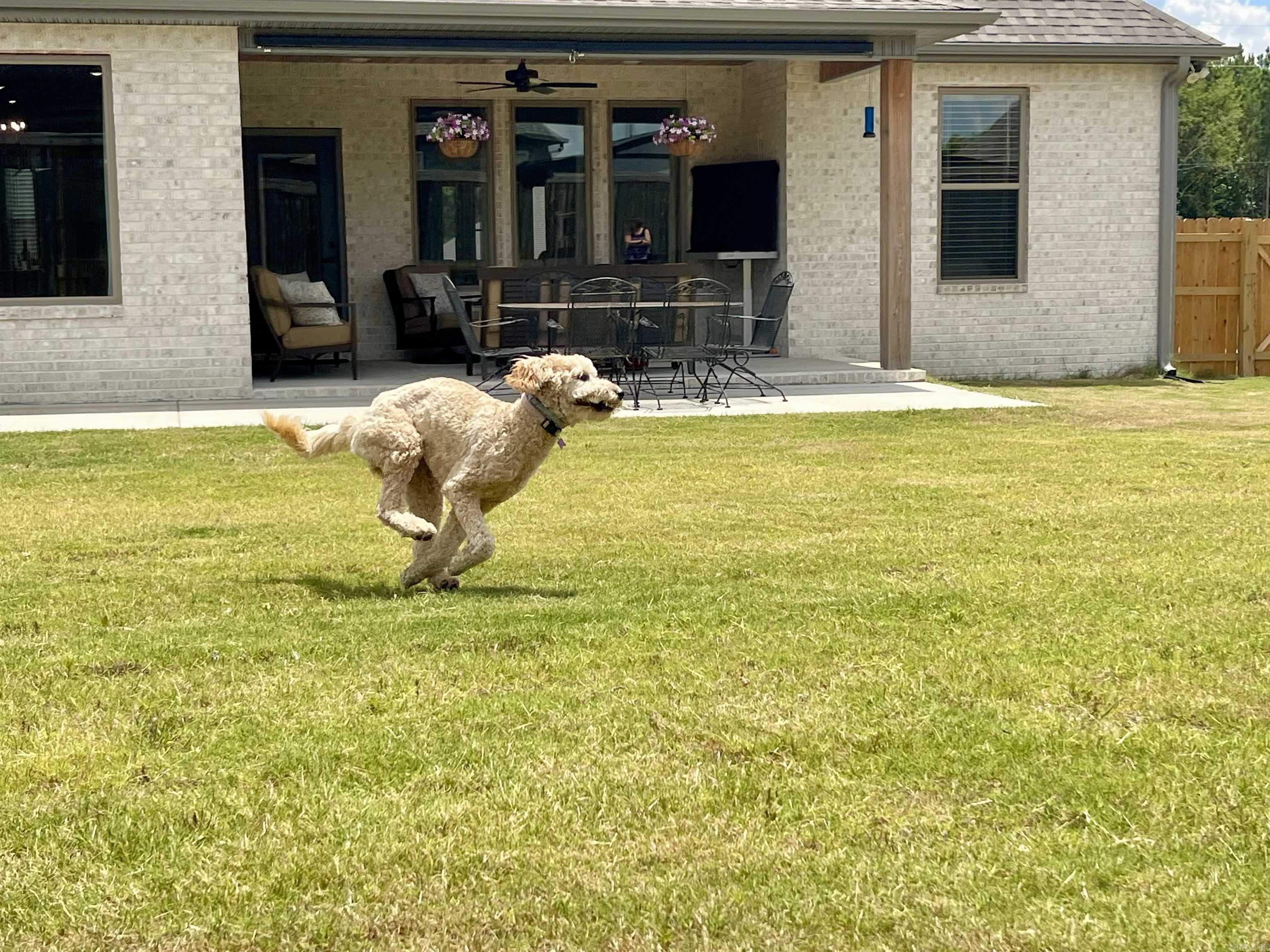 125 Allie Jo  Sheridan, AR