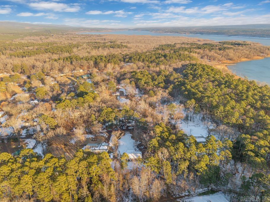 10176 Nimrod  Plainview, AR