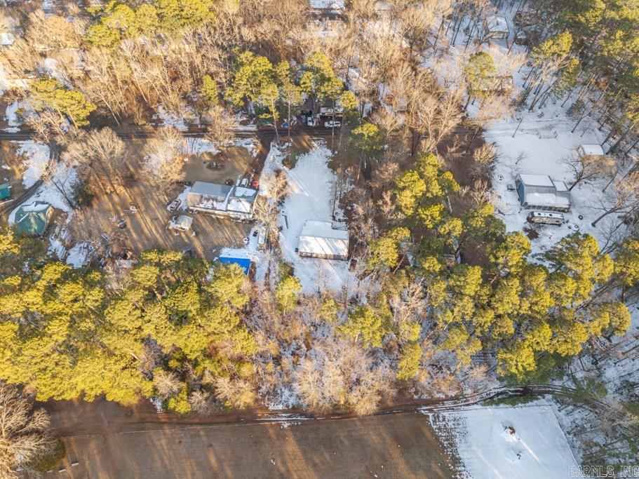 10176 Nimrod  Plainview, AR