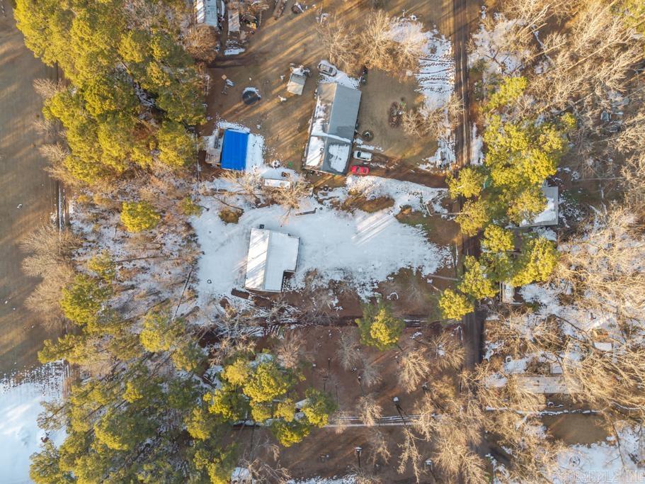 10176 Nimrod  Plainview, AR