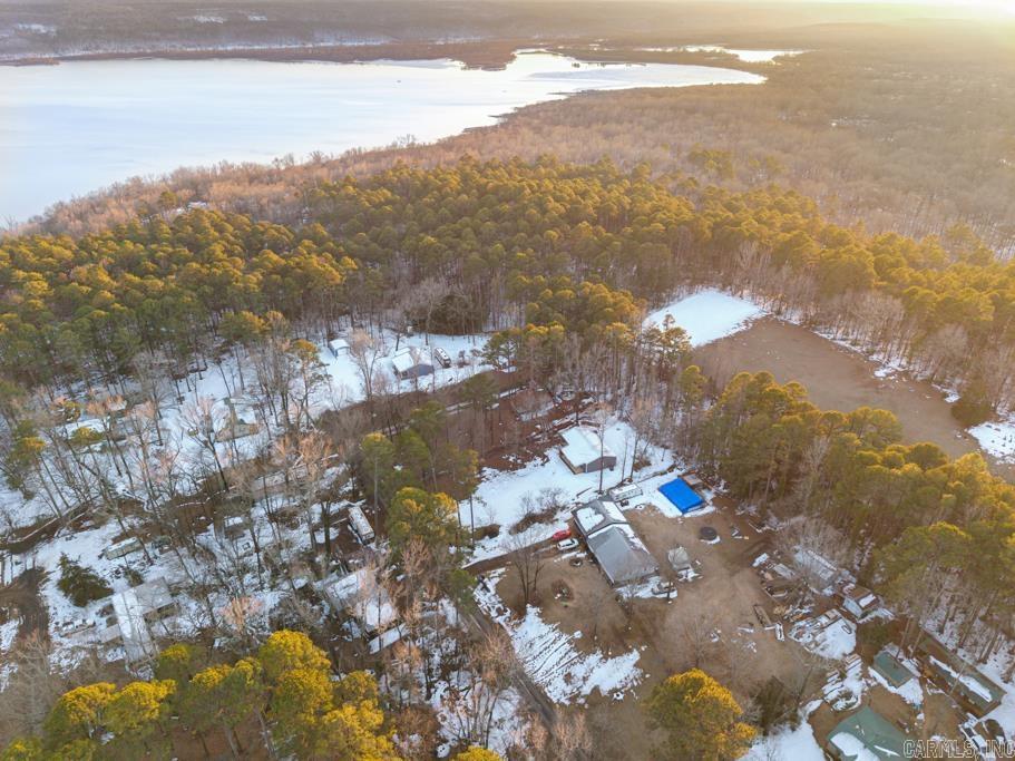 10176 Nimrod  Plainview, AR