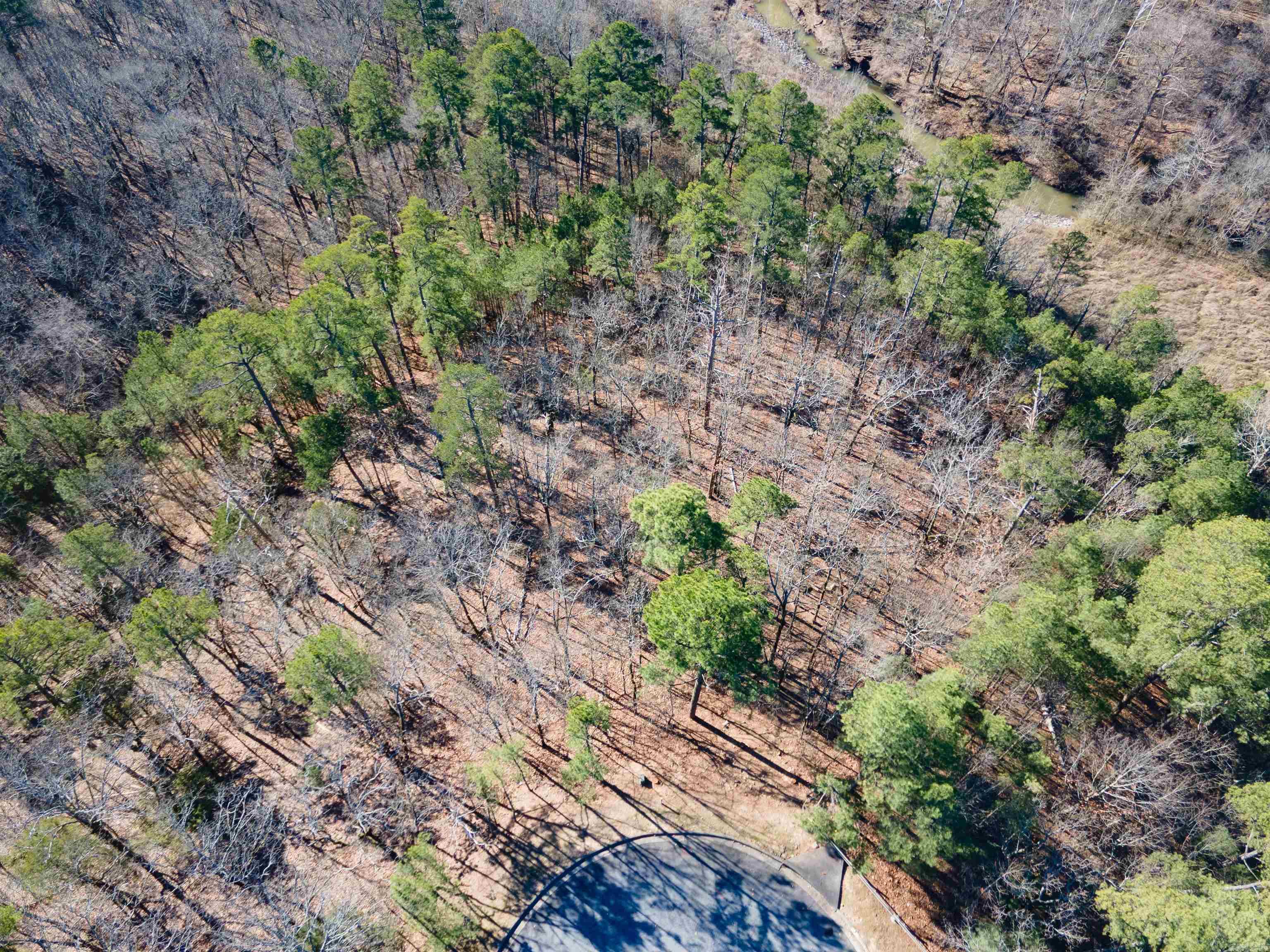  Rivermist Pt  North Little Rock, AR