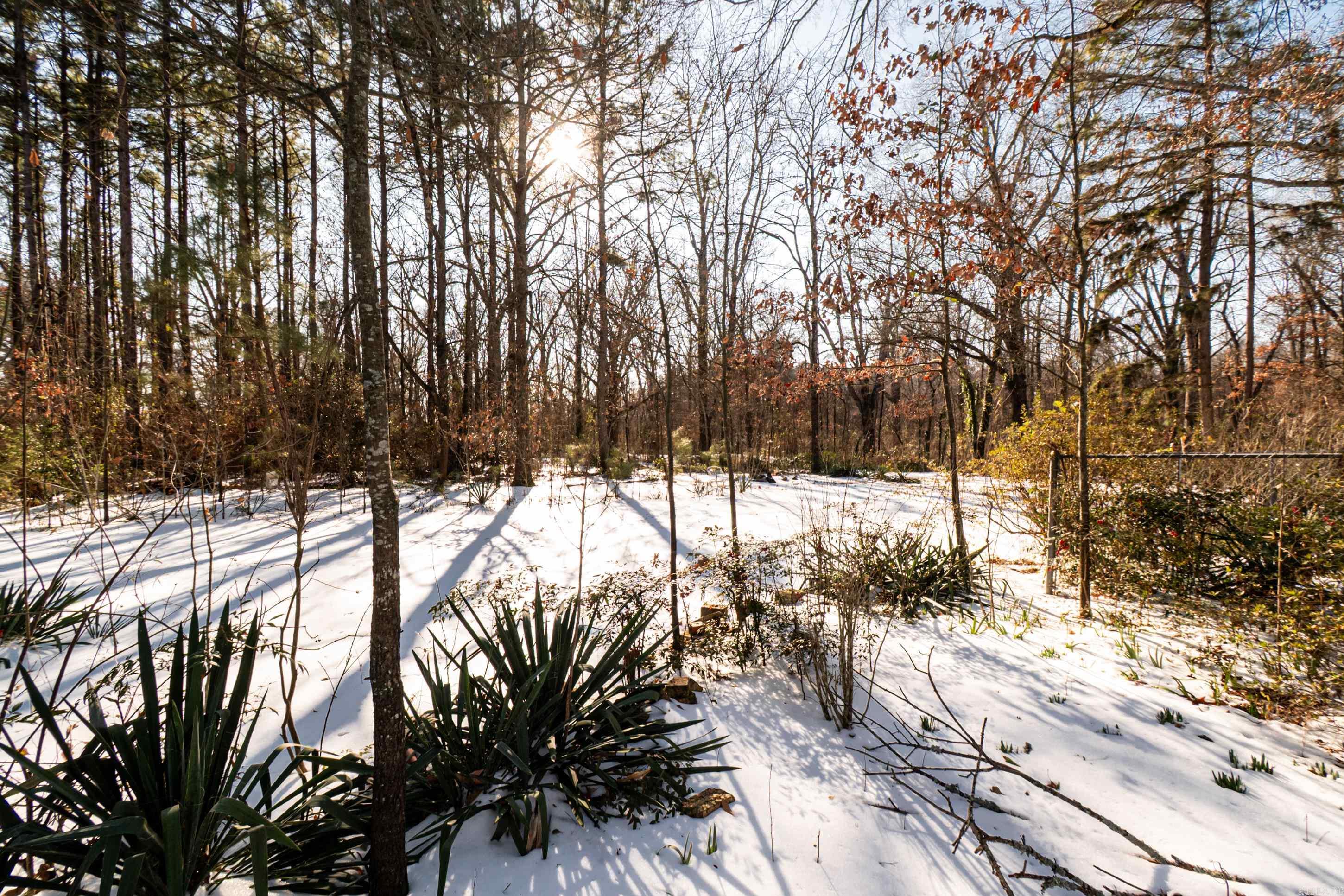 41 Addison Road  Star City, AR