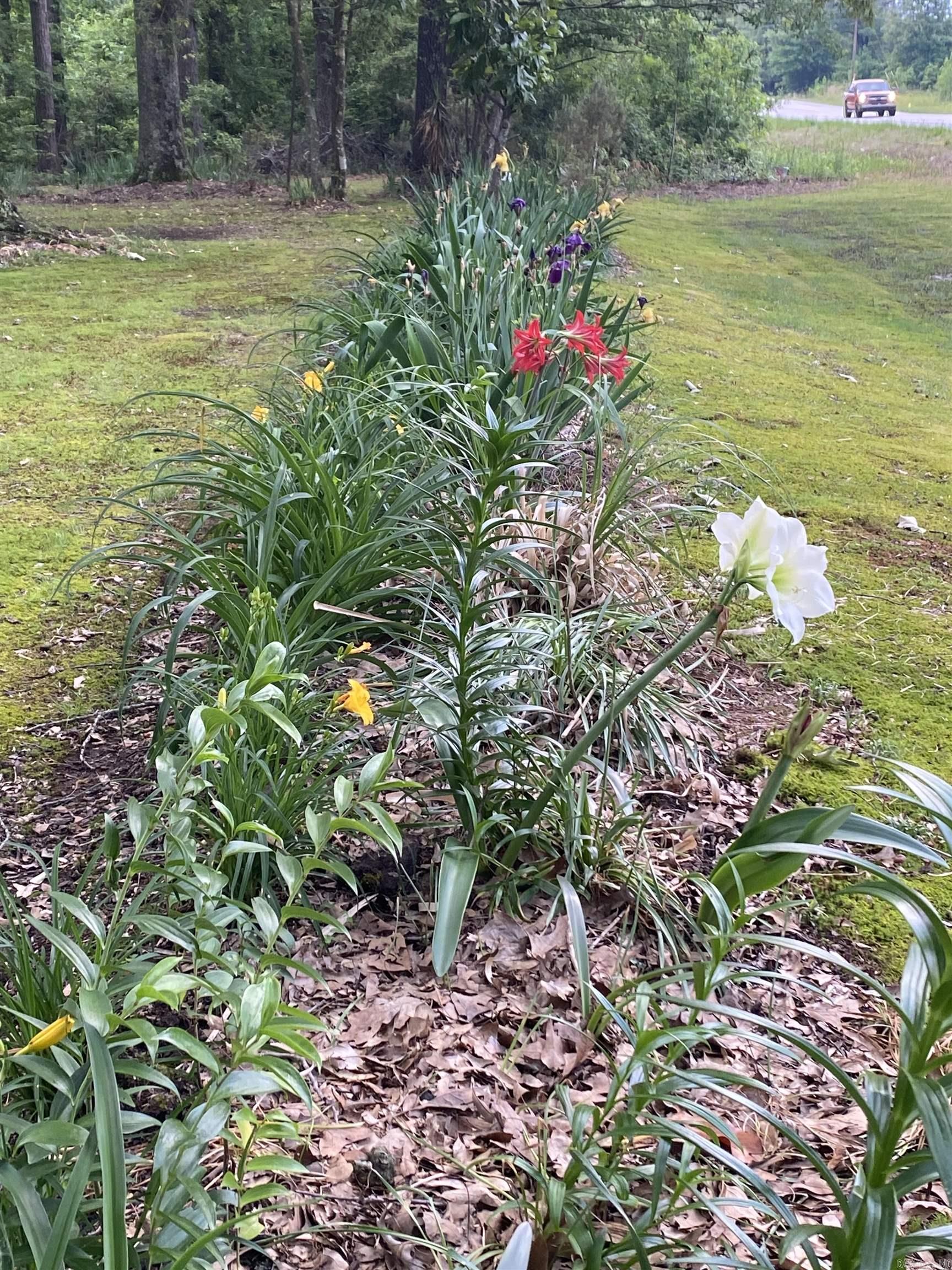 41 Addison Road  Star City, AR