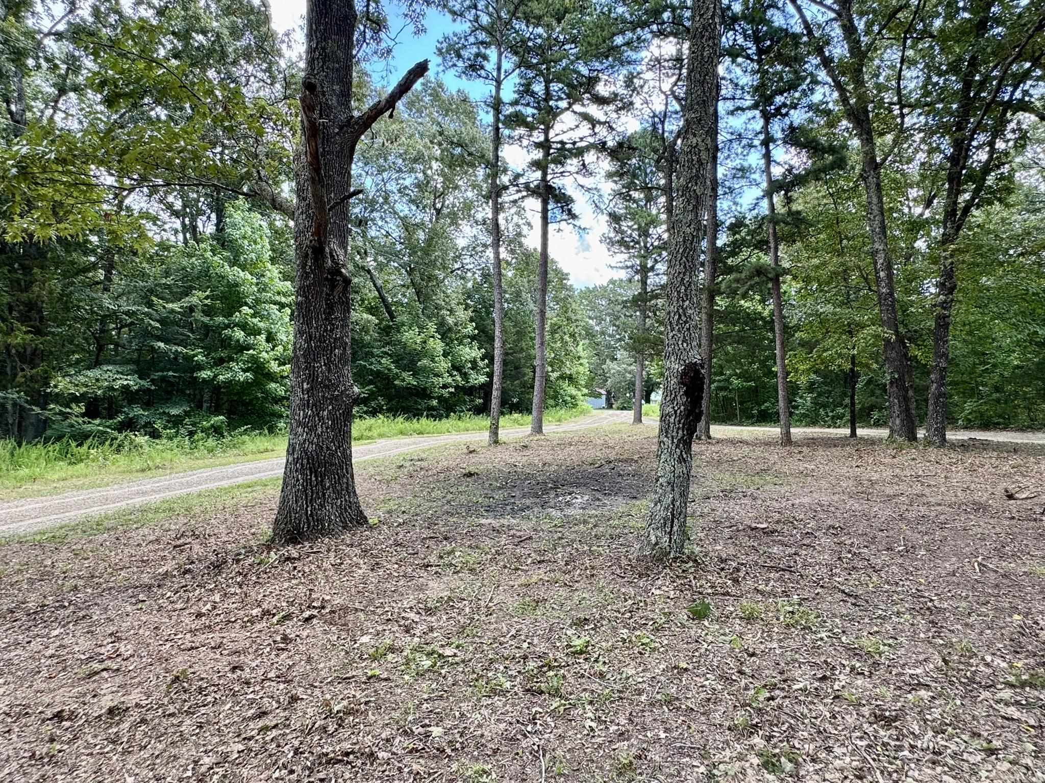 2980 Bonetown Road  Melbourne, AR