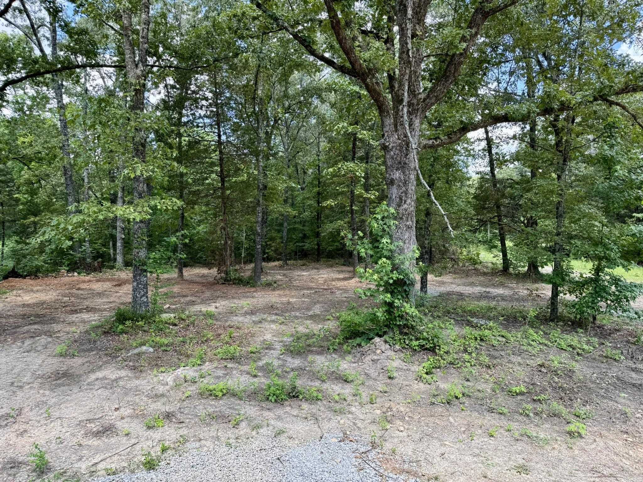 2980 Bonetown Road  Melbourne, AR