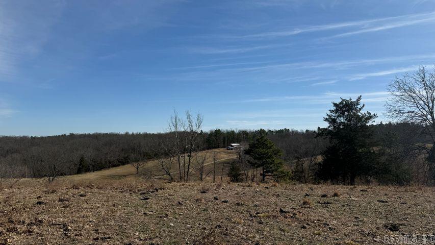 200 Searcy CO. 423  Saint Joe, AR