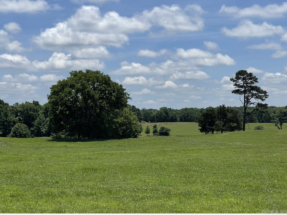 000 Orchard  Greenbrier, AR