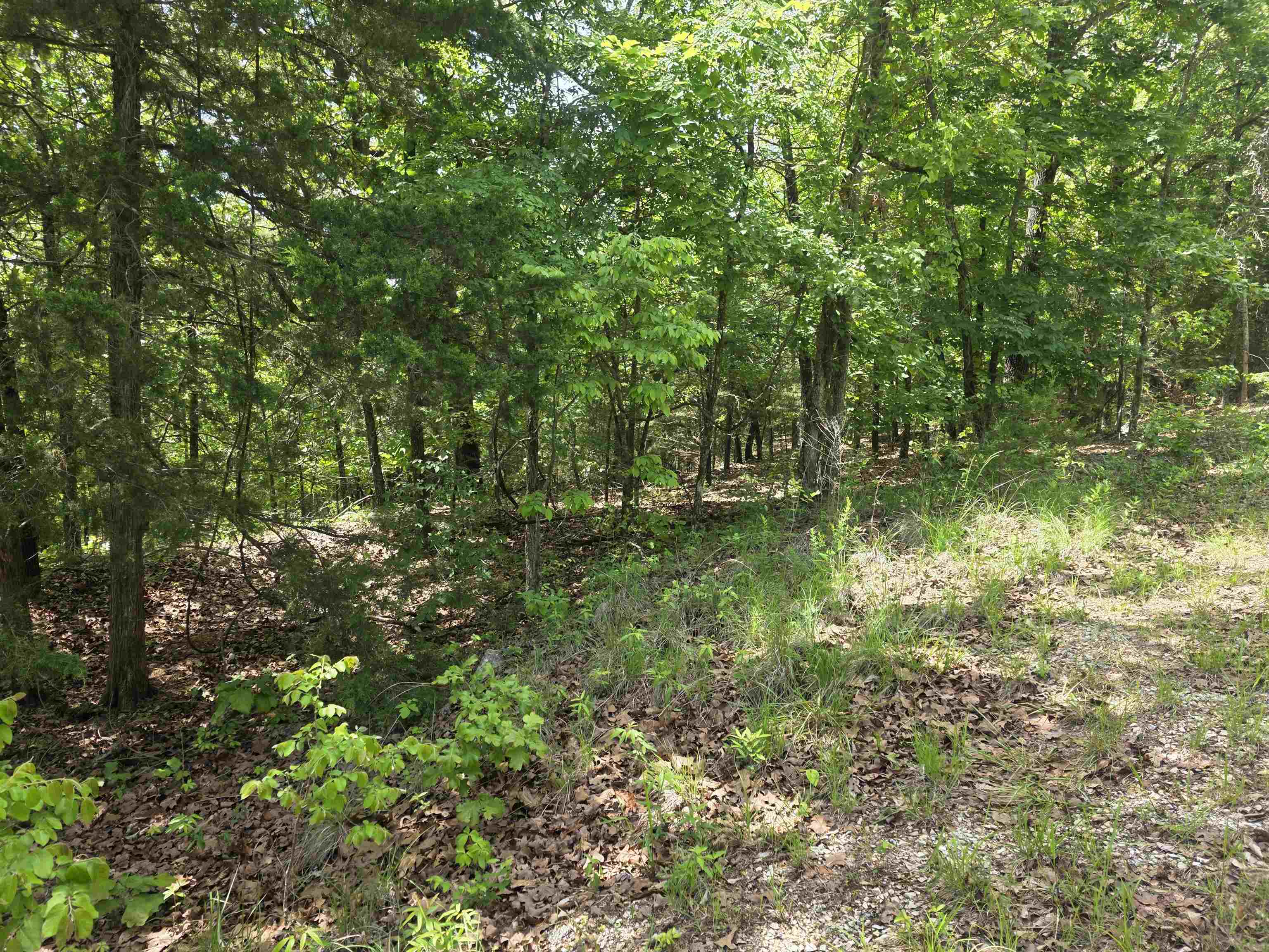 L-39, B-4 Topez  Cherokee Village, AR