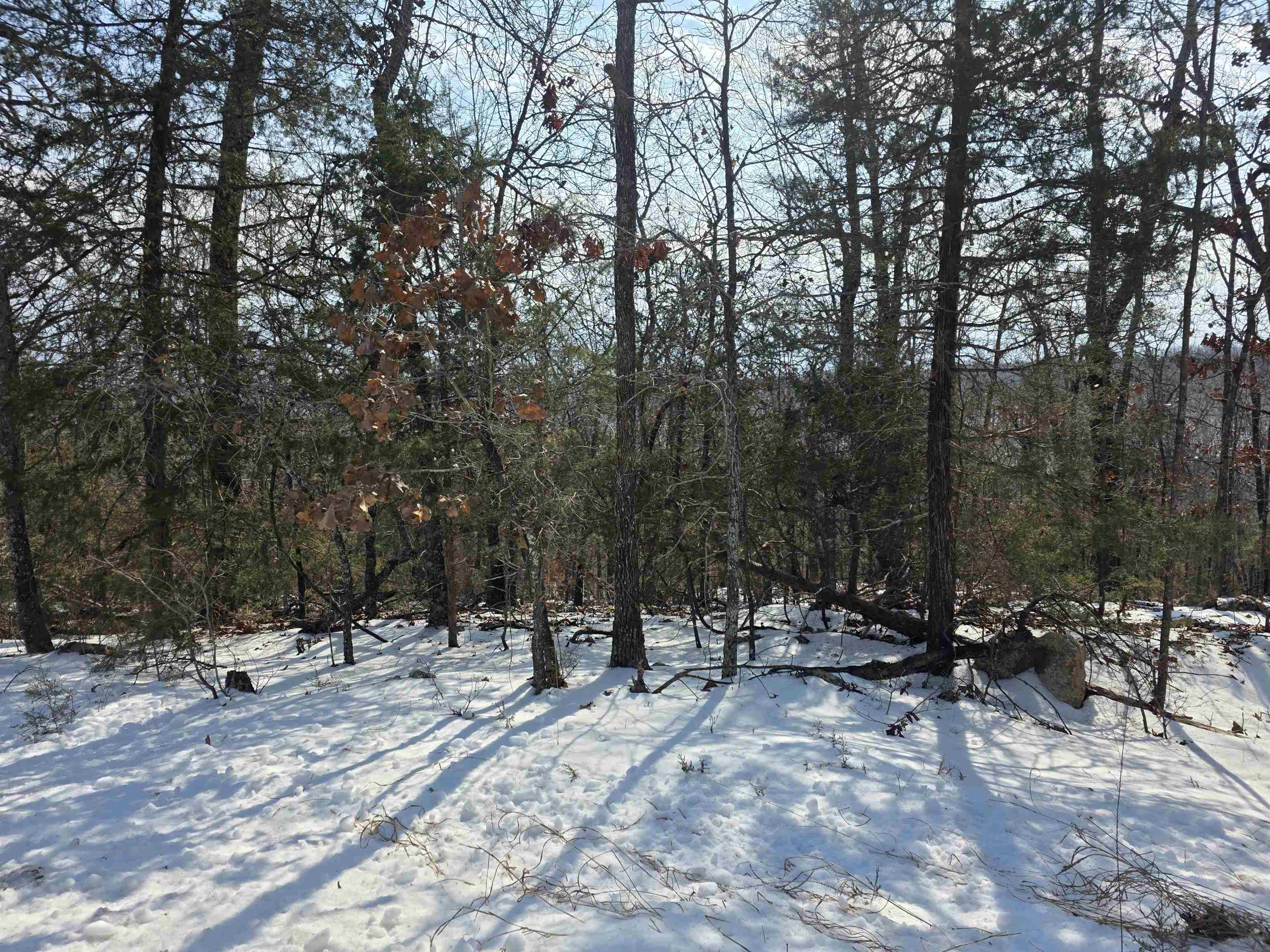 L-39, B-4 Topez  Cherokee Village, AR