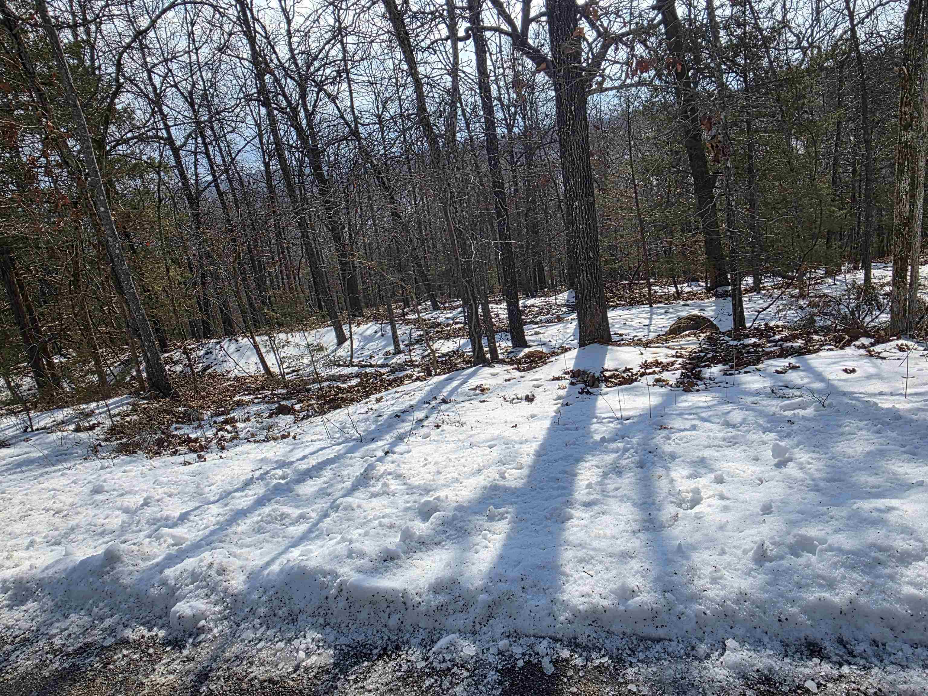 L-39, B-4 Topez  Cherokee Village, AR