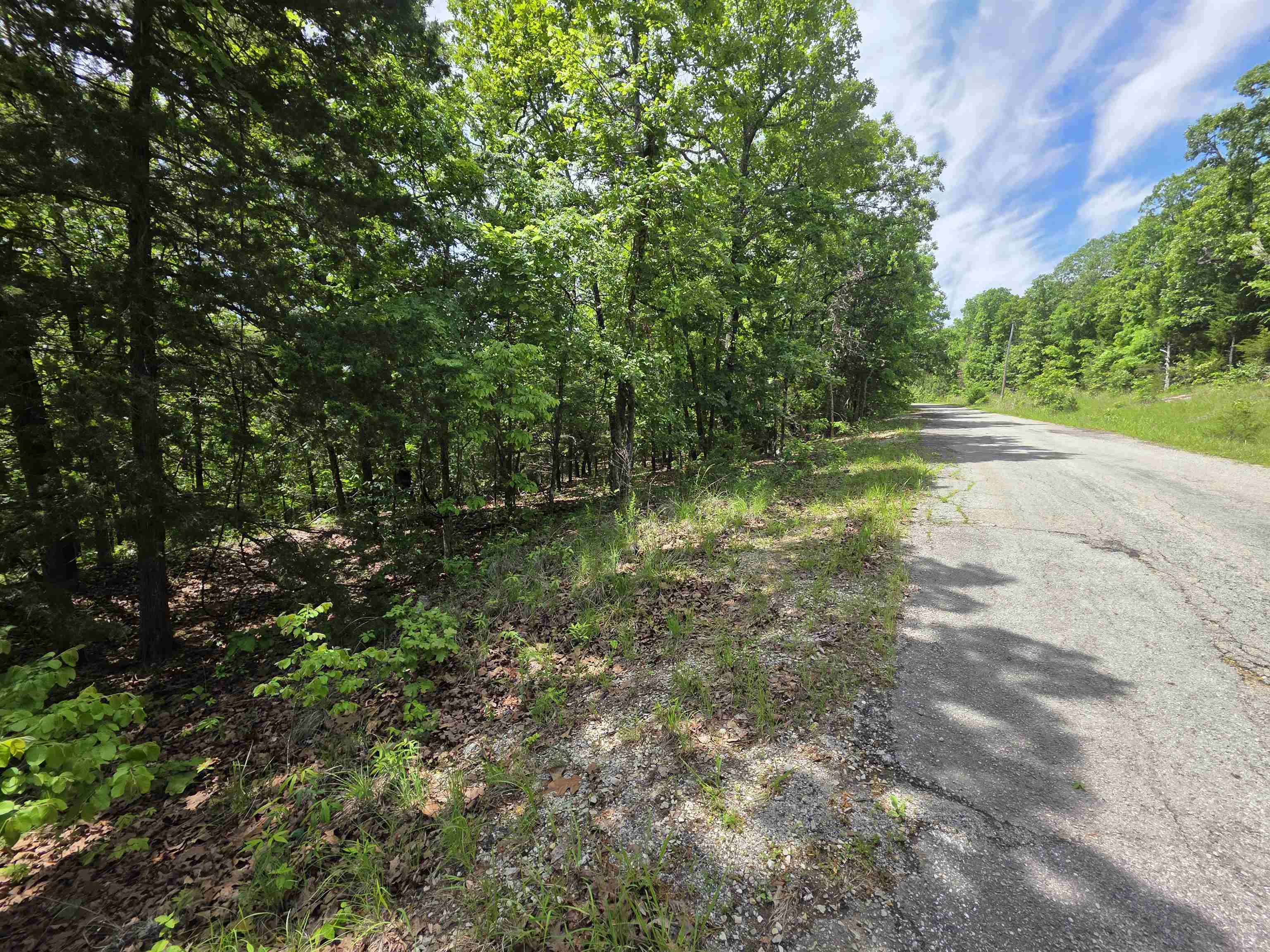 L-39, B-4 Topez  Cherokee Village, AR