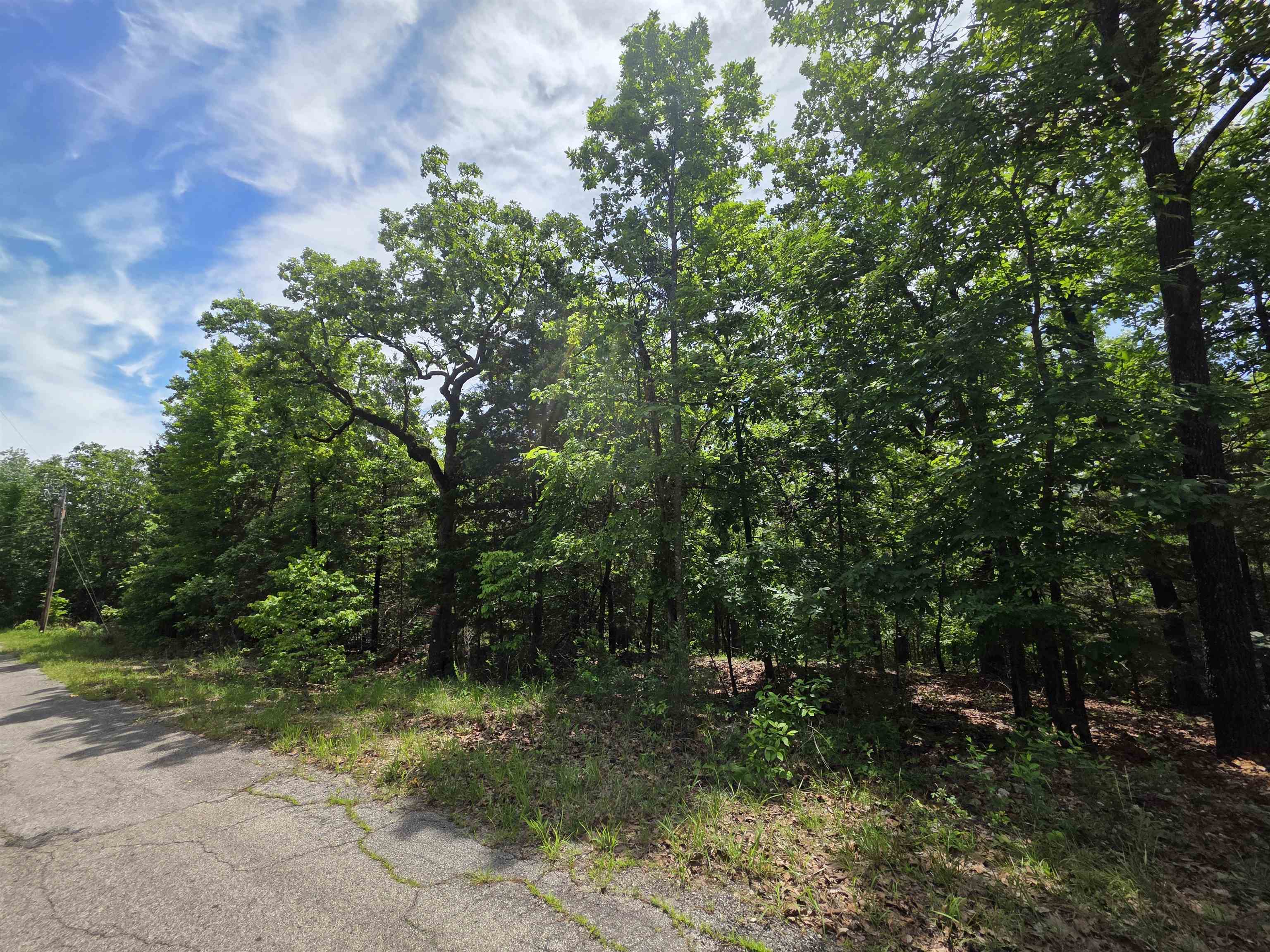 L-39, B-4 Topez  Cherokee Village, AR