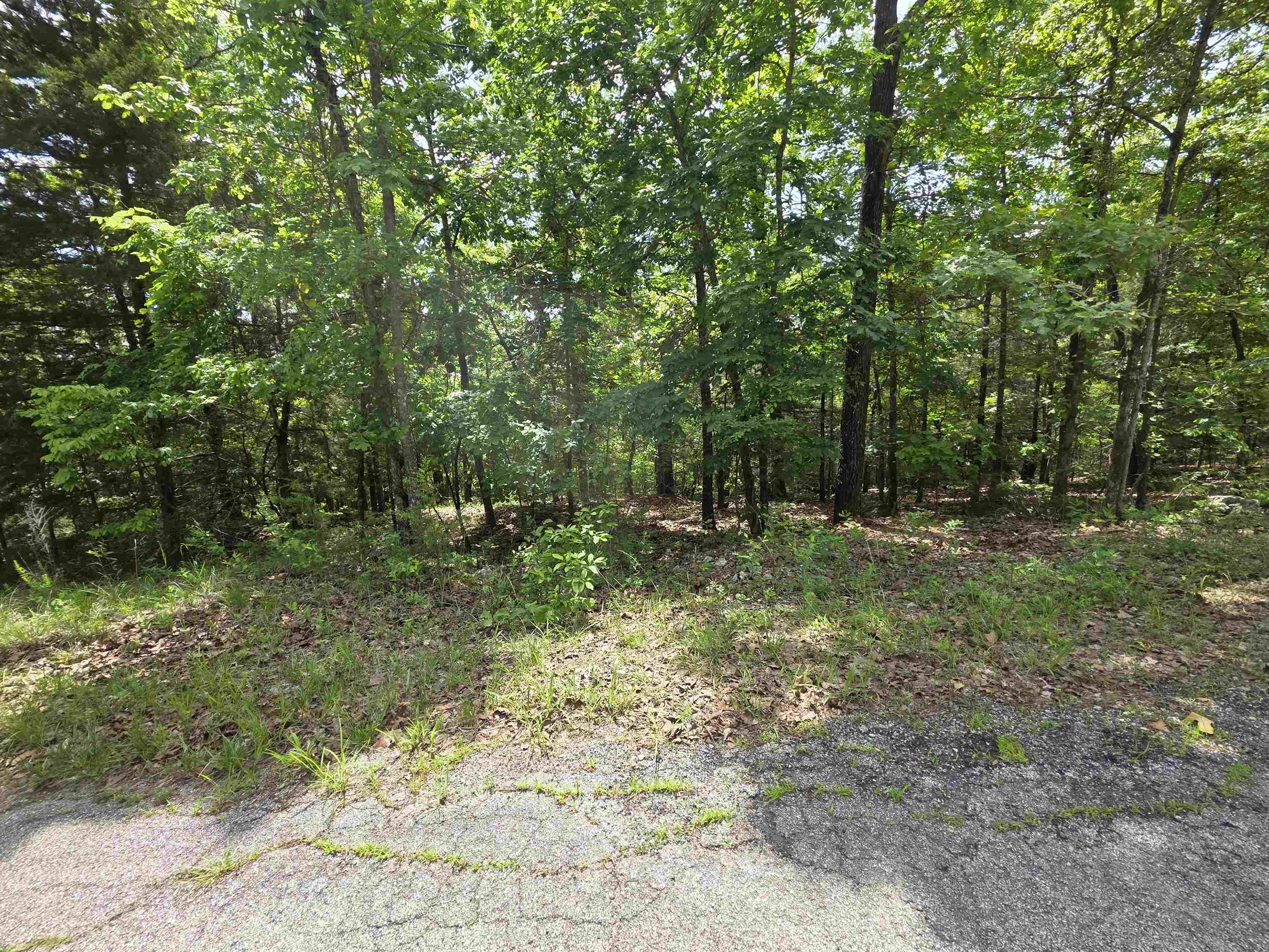 L-39, B-4 Topez  Cherokee Village, AR