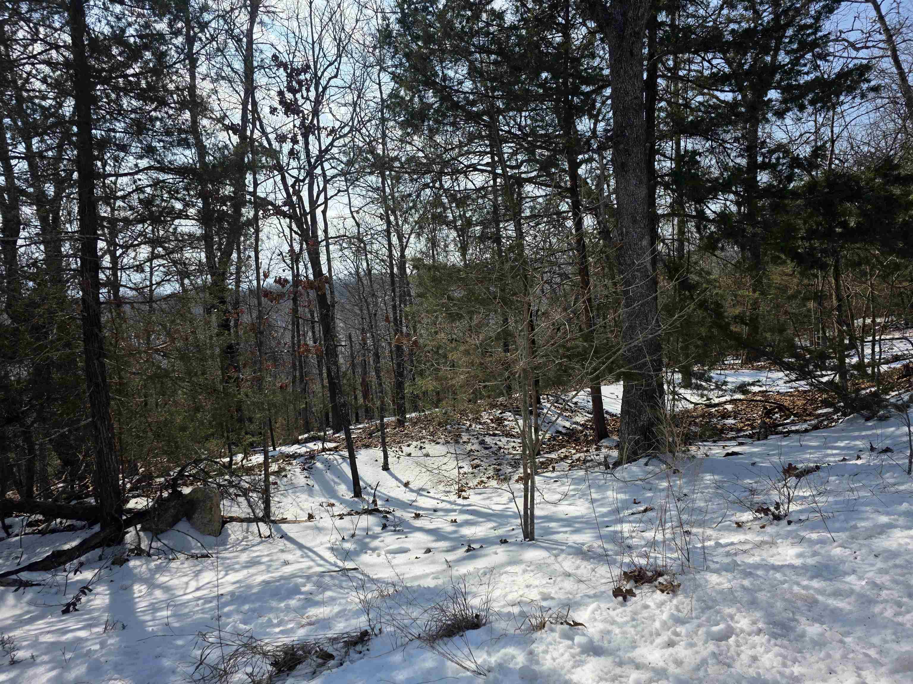 L-39, B-4 Topez  Cherokee Village, AR