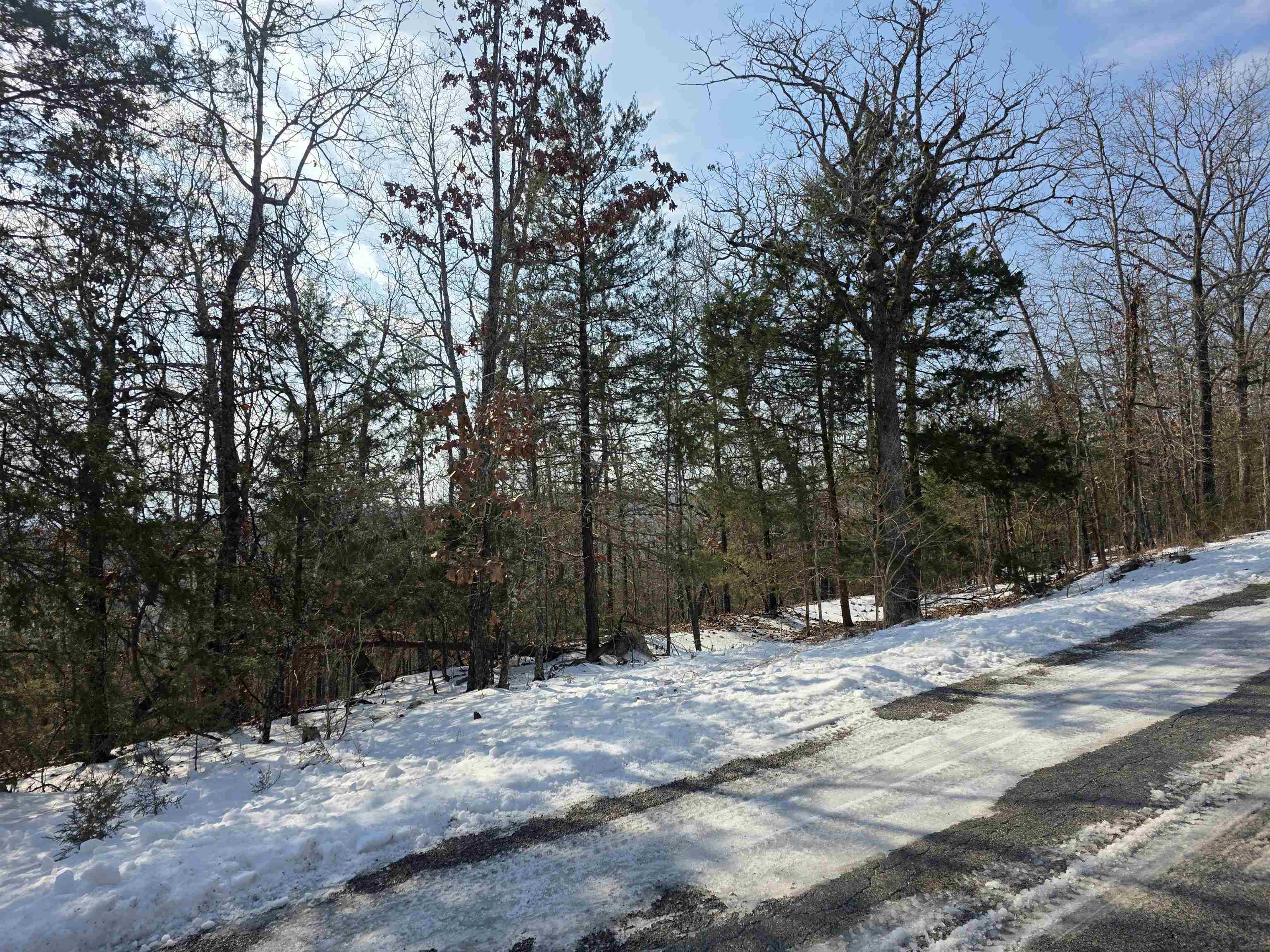 L-39, B-4 Topez  Cherokee Village, AR