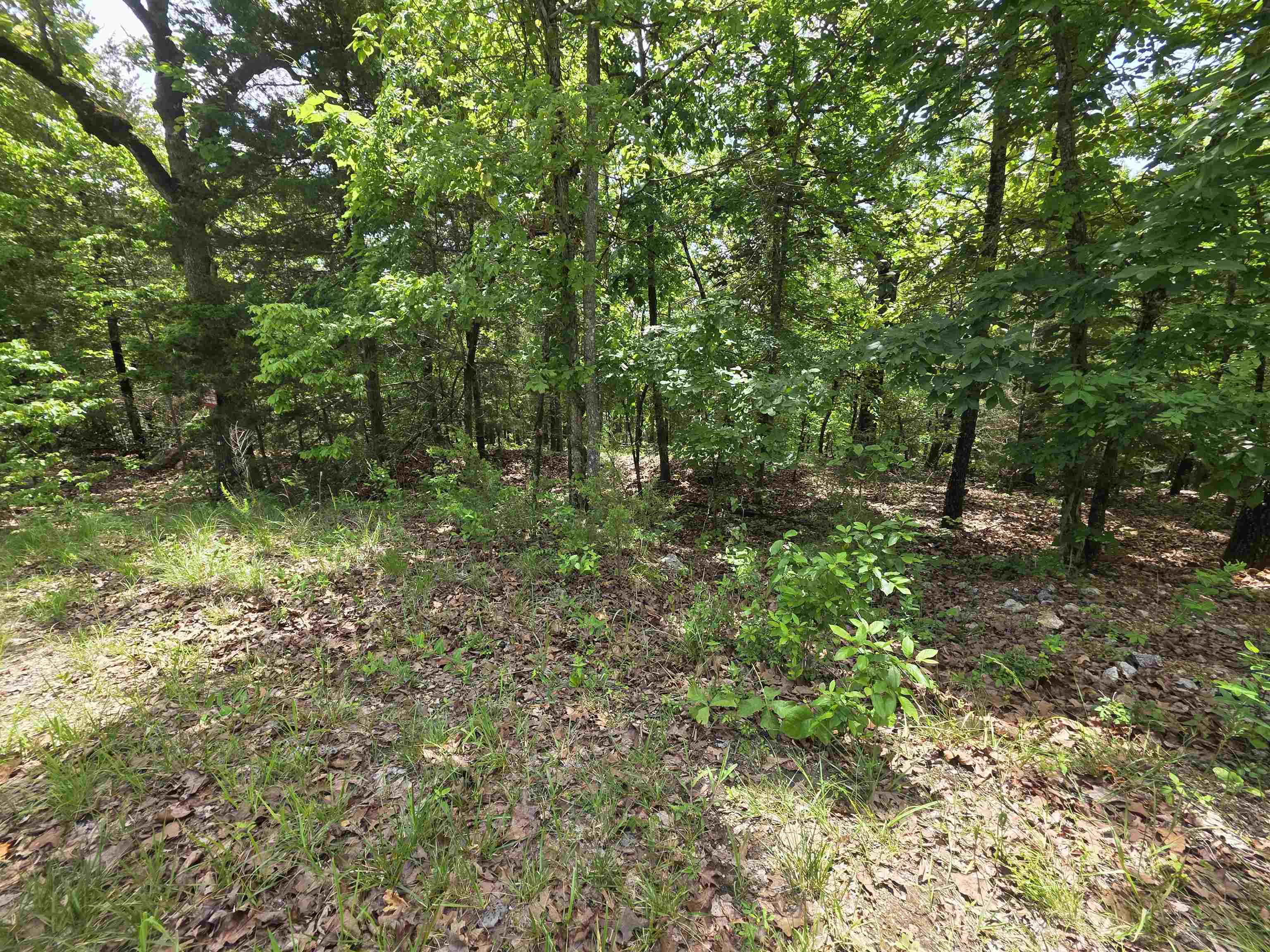 L-39, B-4 Topez  Cherokee Village, AR