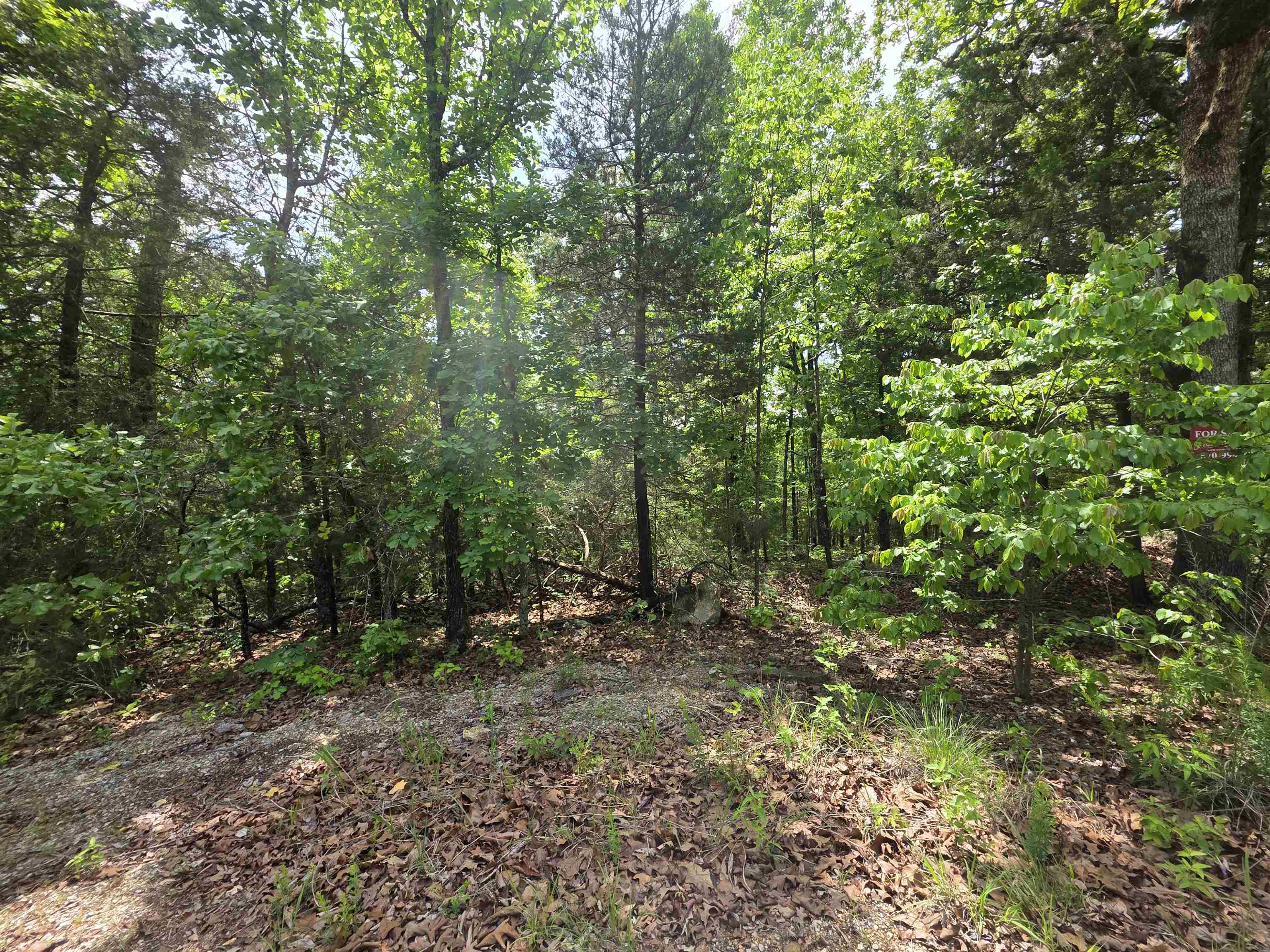 L-39, B-4 Topez  Cherokee Village, AR
