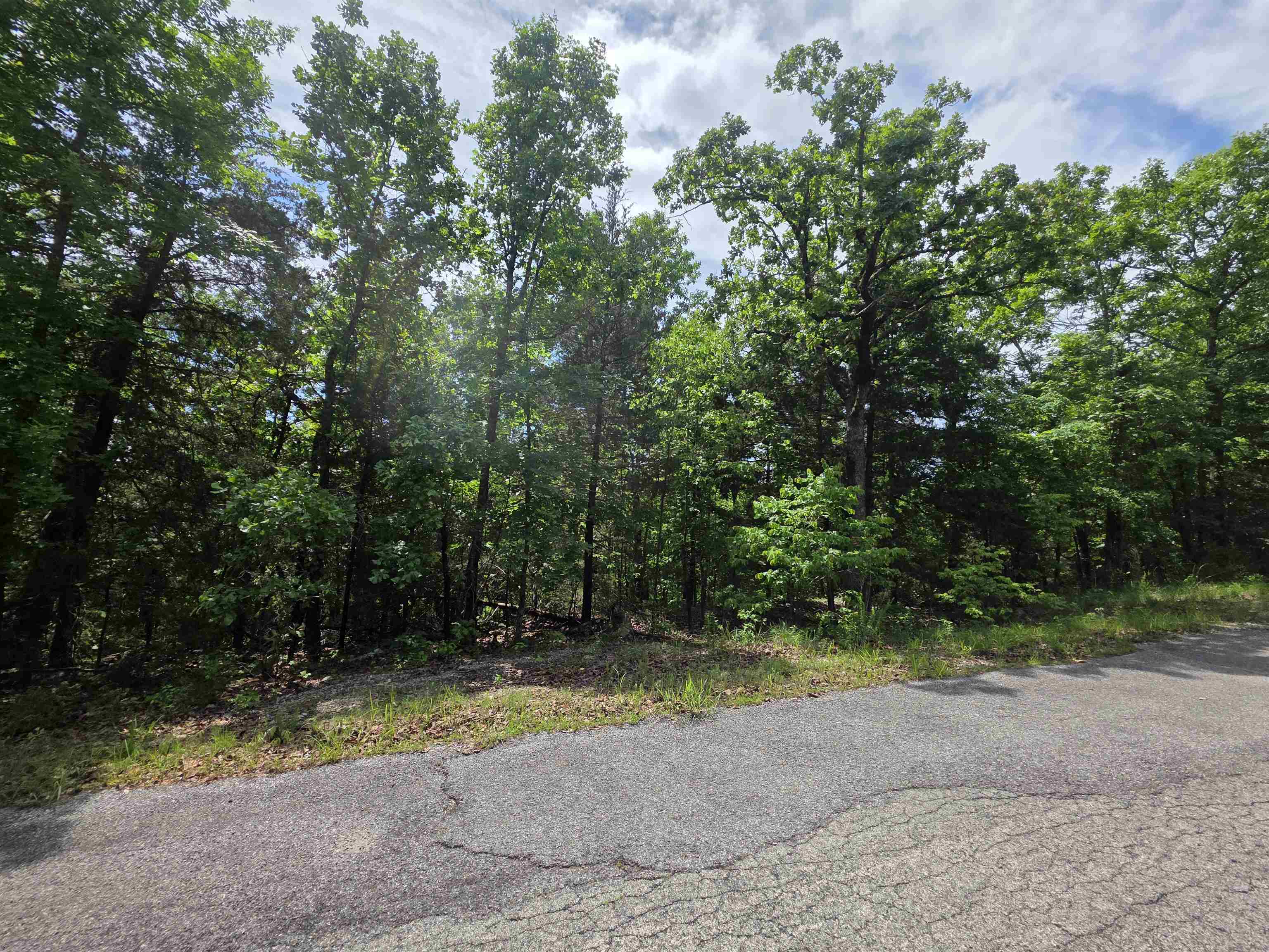 L-39, B-4 Topez  Cherokee Village, AR