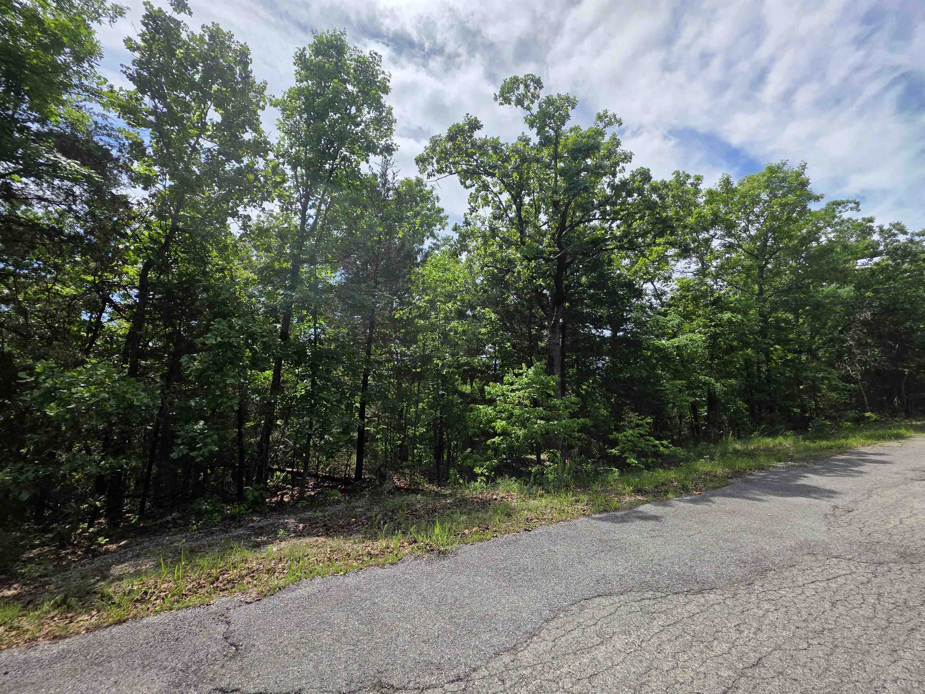 L-39, B-4 Topez  Cherokee Village, AR