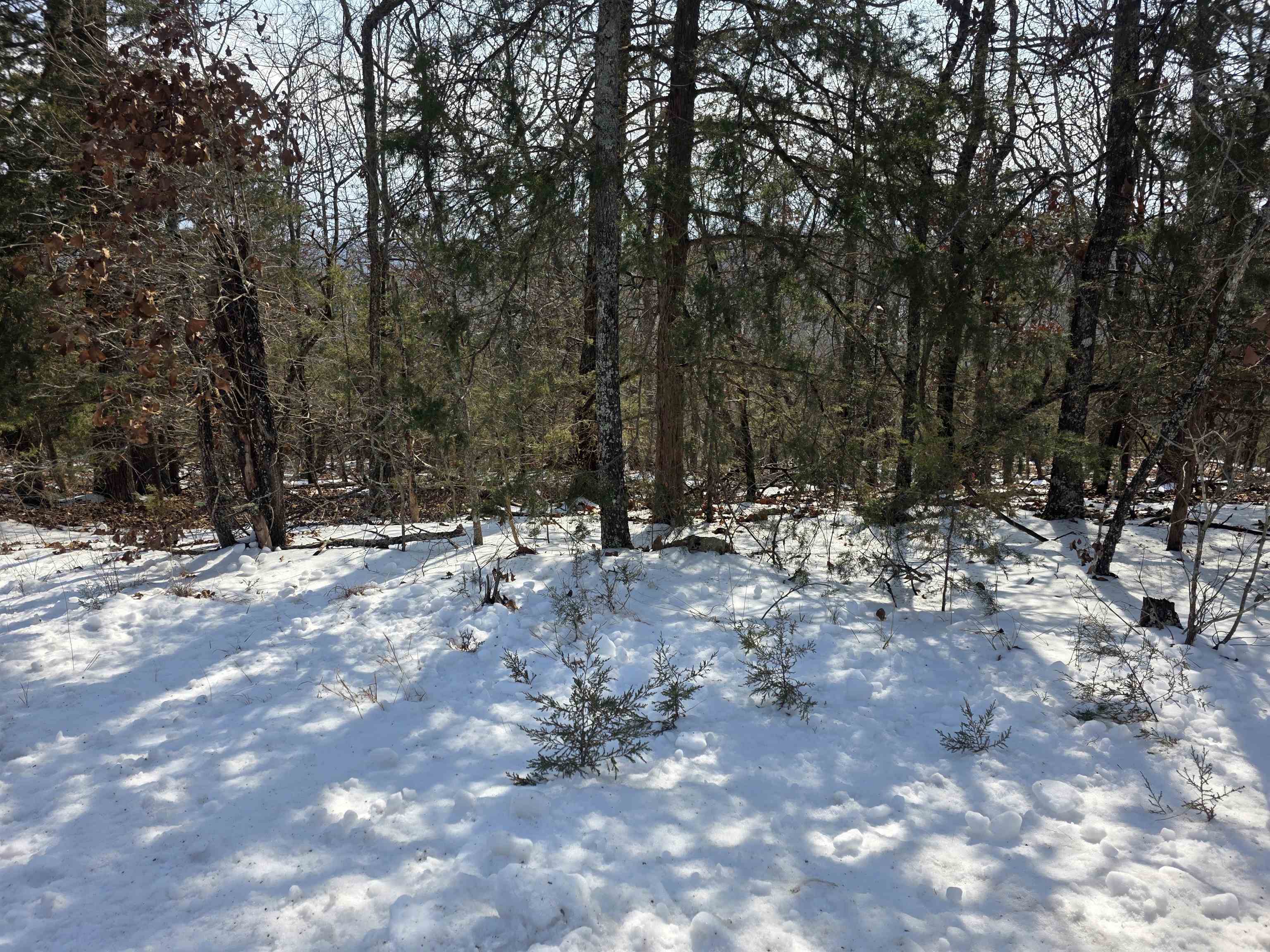 L-39, B-4 Topez  Cherokee Village, AR