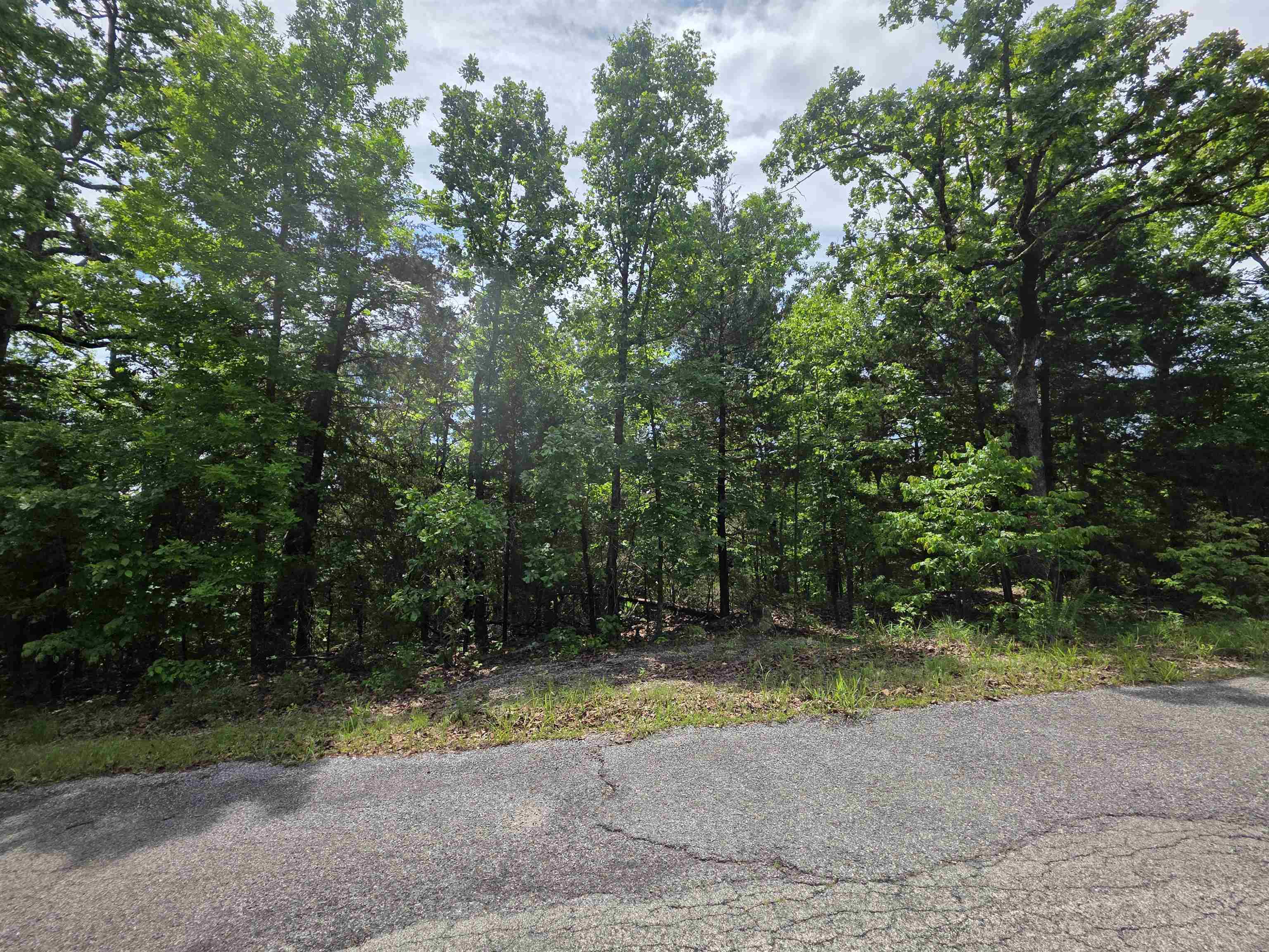 L-39, B-4 Topez  Cherokee Village, AR