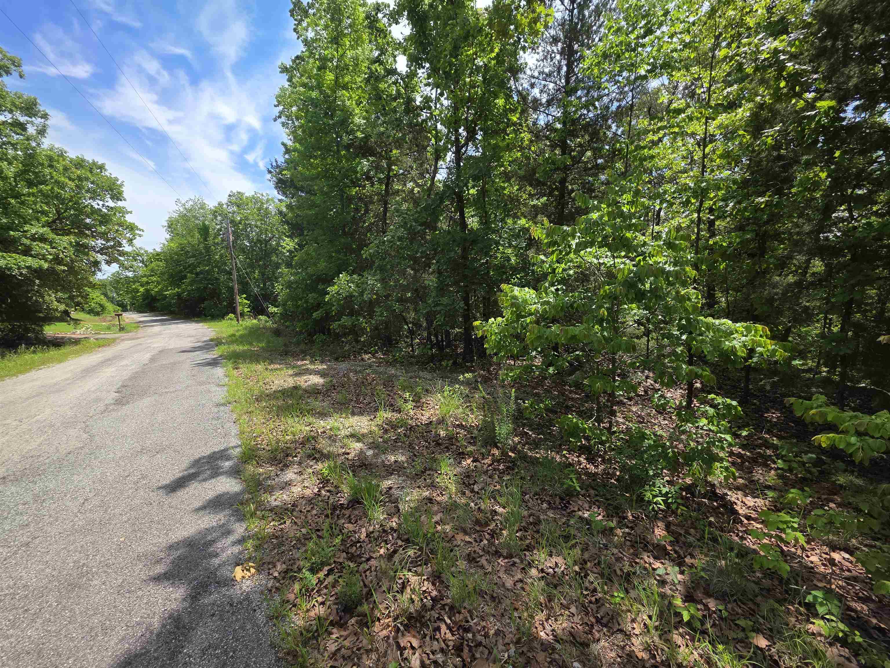 L-39, B-4 Topez  Cherokee Village, AR